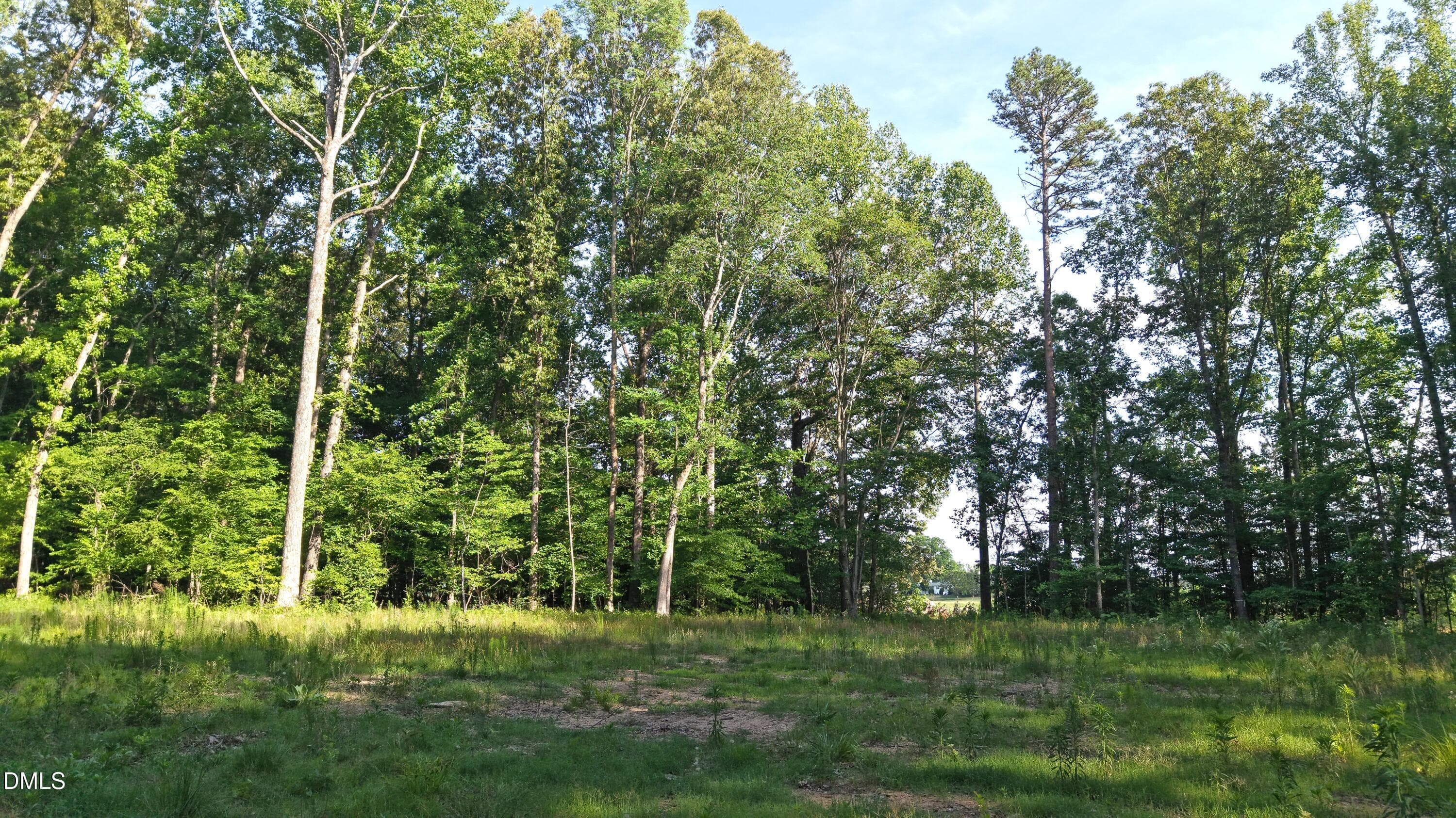 Cleared Area2 - 6810 Sawyer Road, Liberty, NC 27298