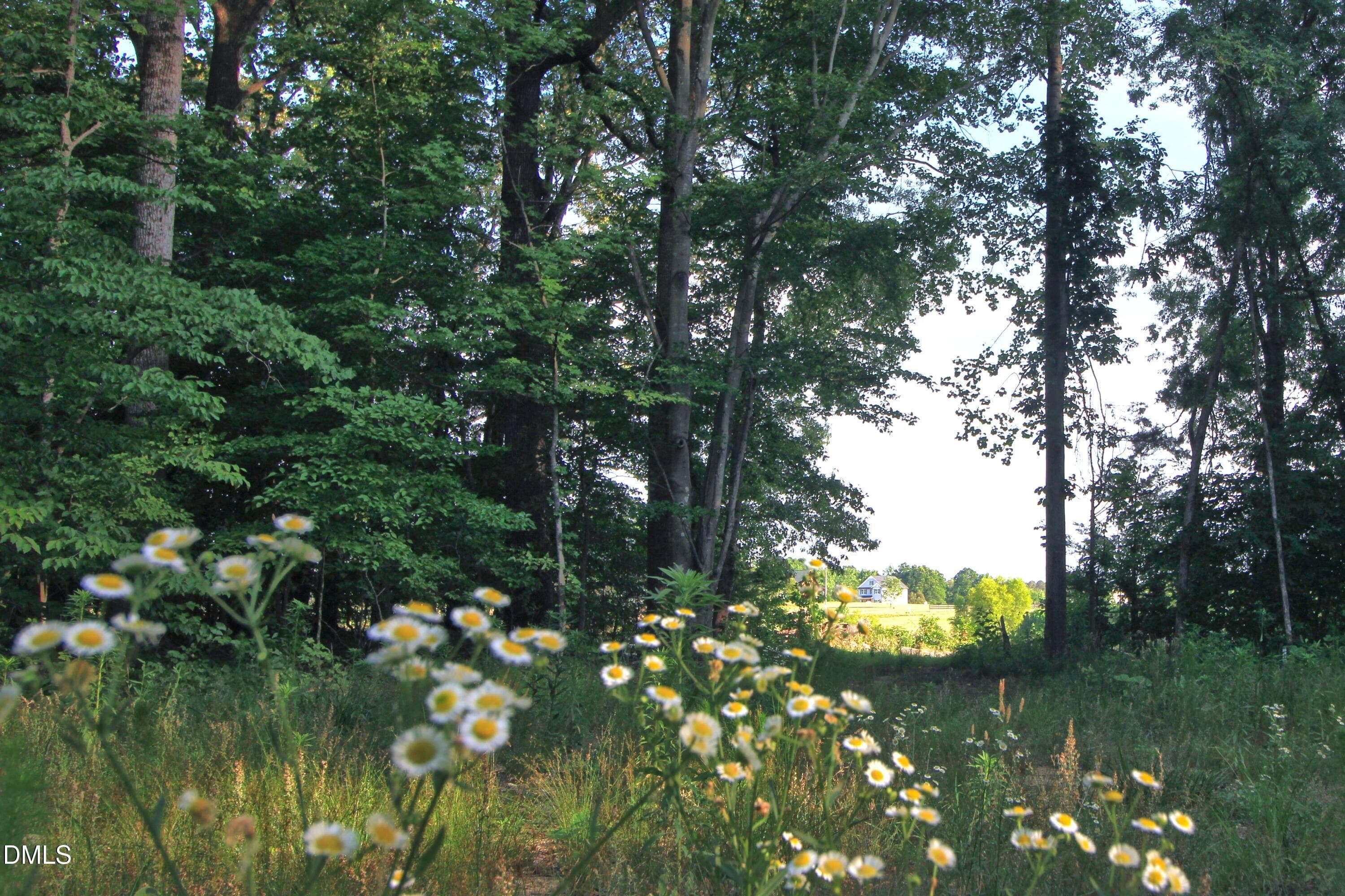 Flowers - 6810 Sawyer Road, Liberty, NC 27298