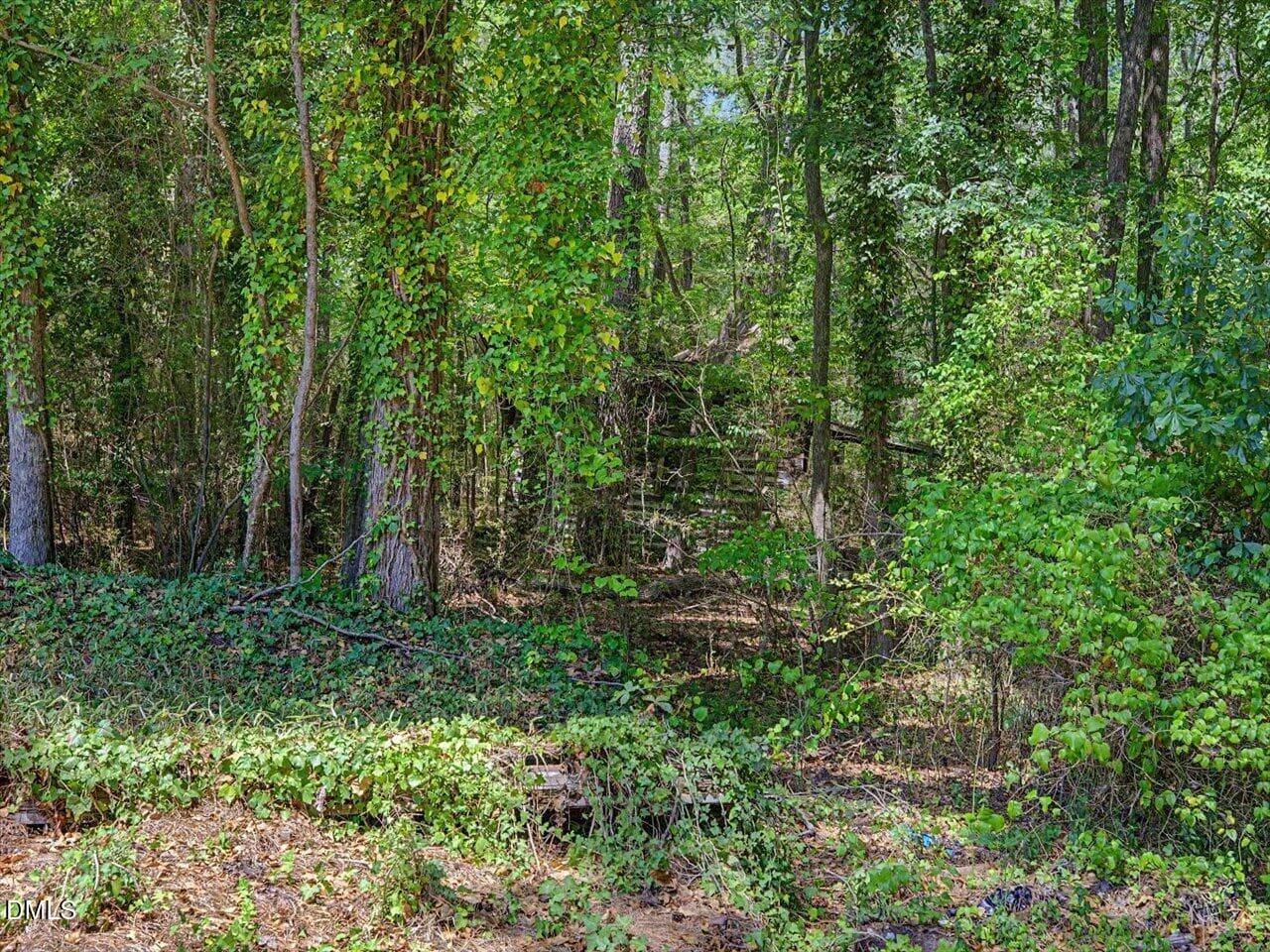 37-Behind House - 2509 Farrington Point Road, Chapel Hill, NC 27517, Chapel Hill