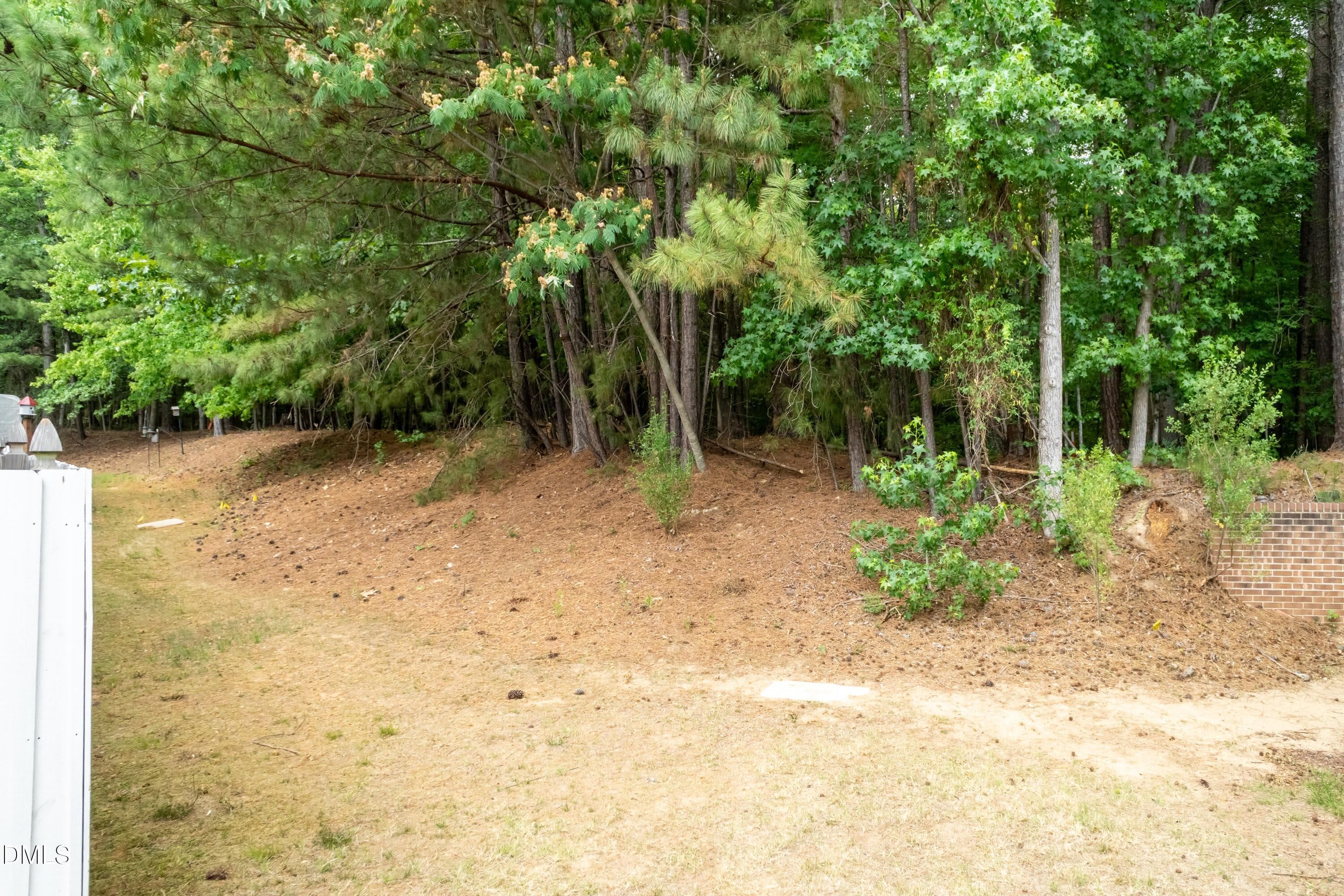 Additional Back Yard - 3047 Coxindale Drive, Raleigh, NC 27615, Raleigh