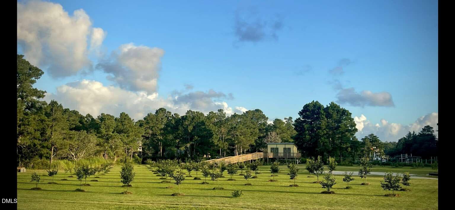 Pease.5 - 3927 Whortonsville Road, Merritt, NC 28556