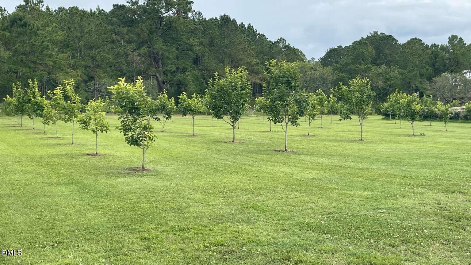 Pease.9 - 3927 Whortonsville Road, Merritt, NC 28556