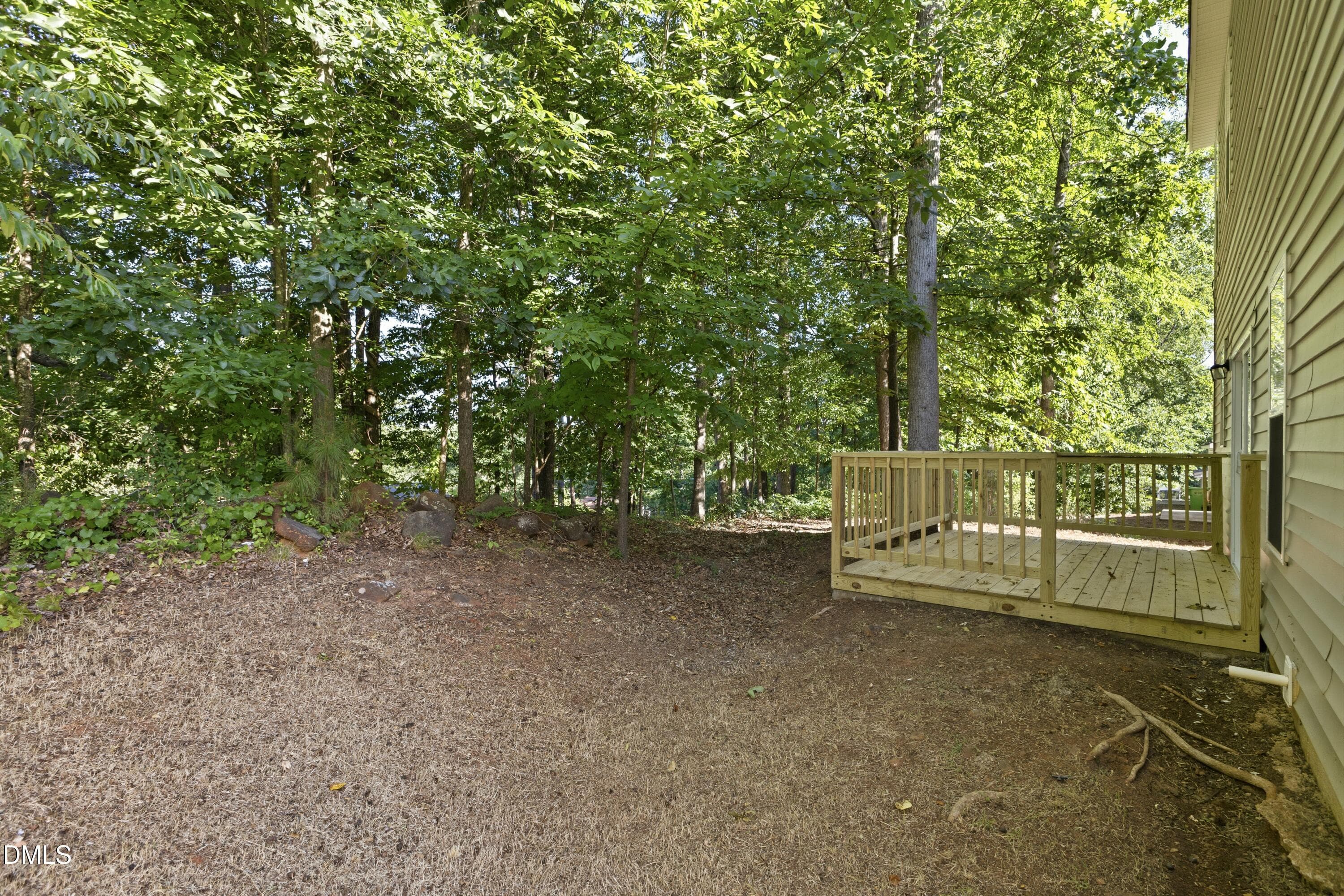 CY1A6931 - 2016 Red Quartz Drive, Raleigh, NC 27610, Raleigh