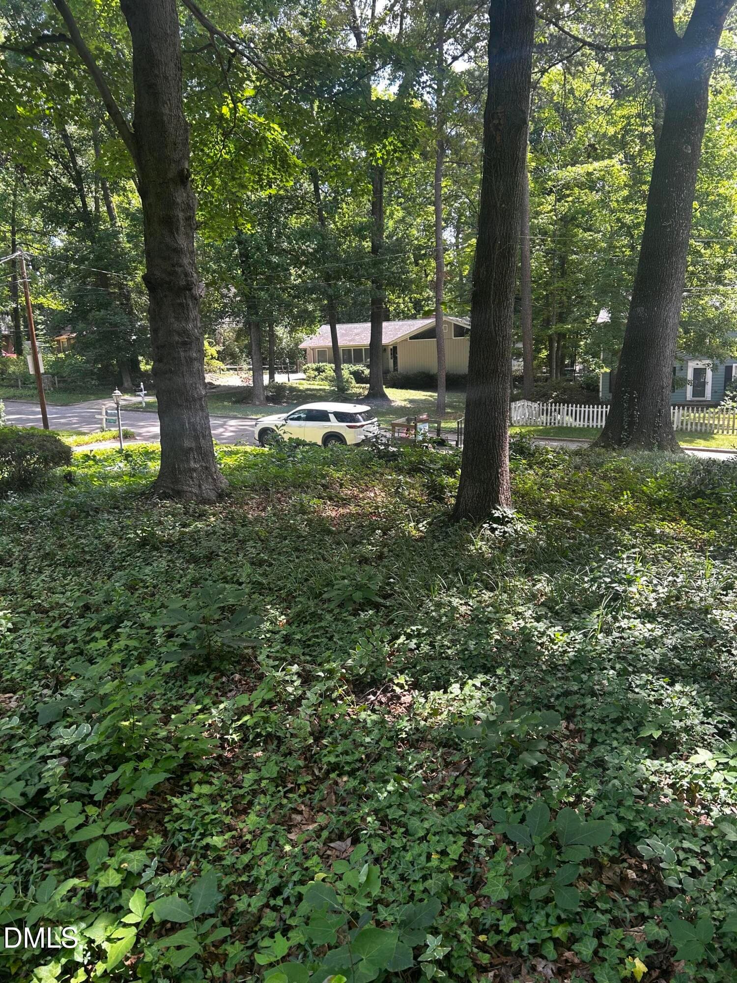 IMG_0025 - 5313 Cypress Lane, Raleigh, NC 27609, Raleigh