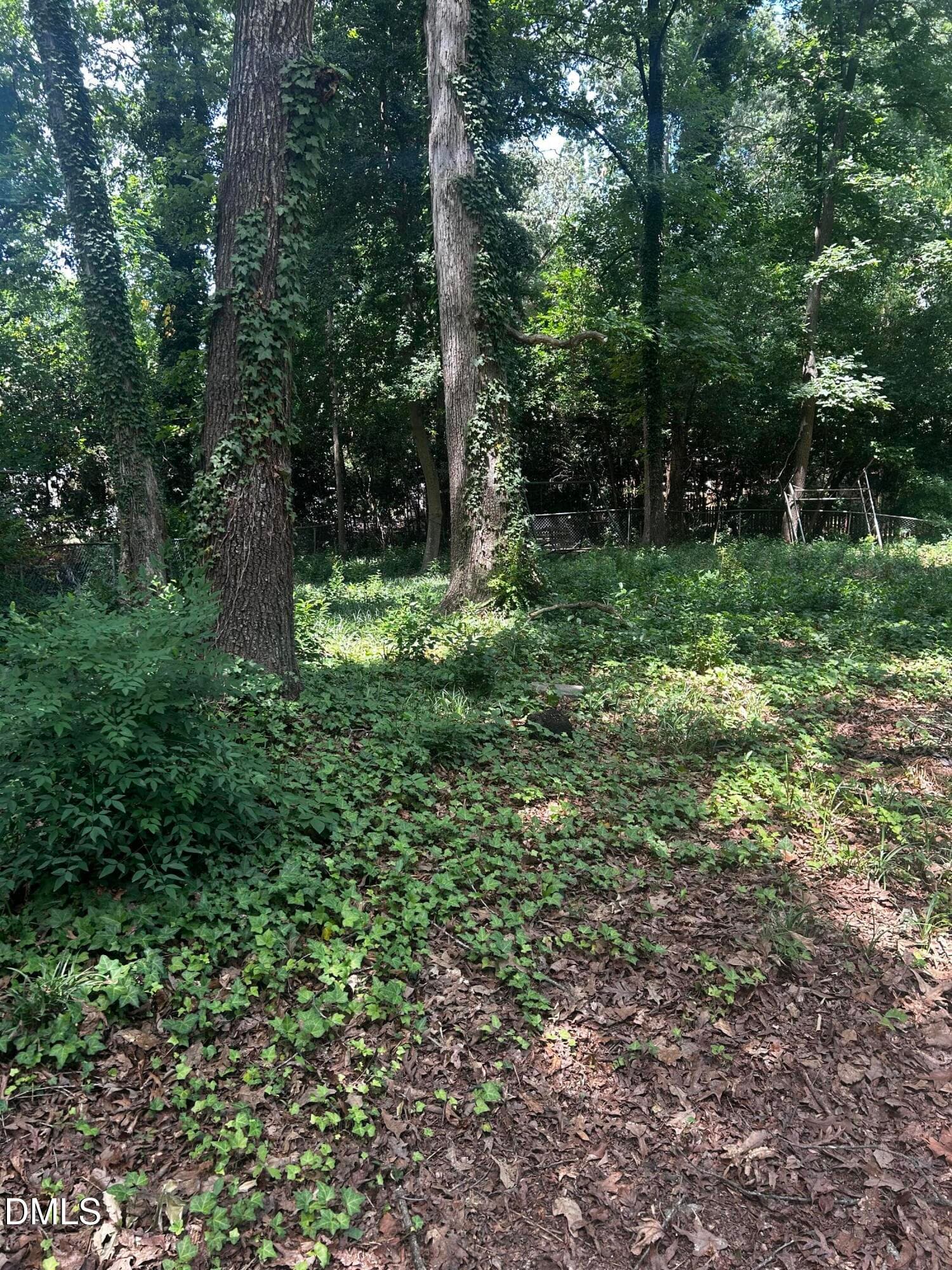 IMG_0020 - 5313 Cypress Lane, Raleigh, NC 27609, Raleigh