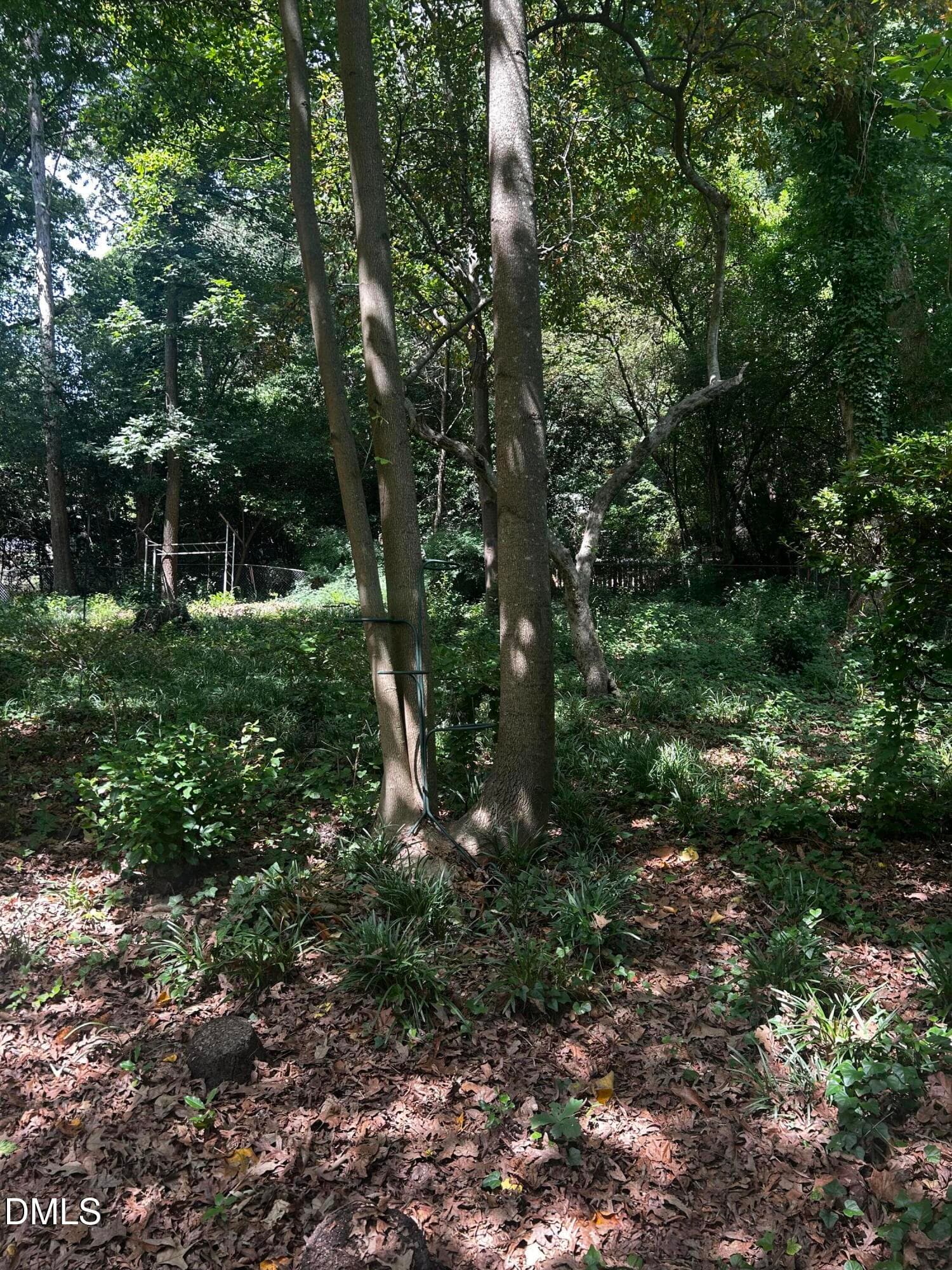 IMG_0014 - 5313 Cypress Lane, Raleigh, NC 27609, Raleigh