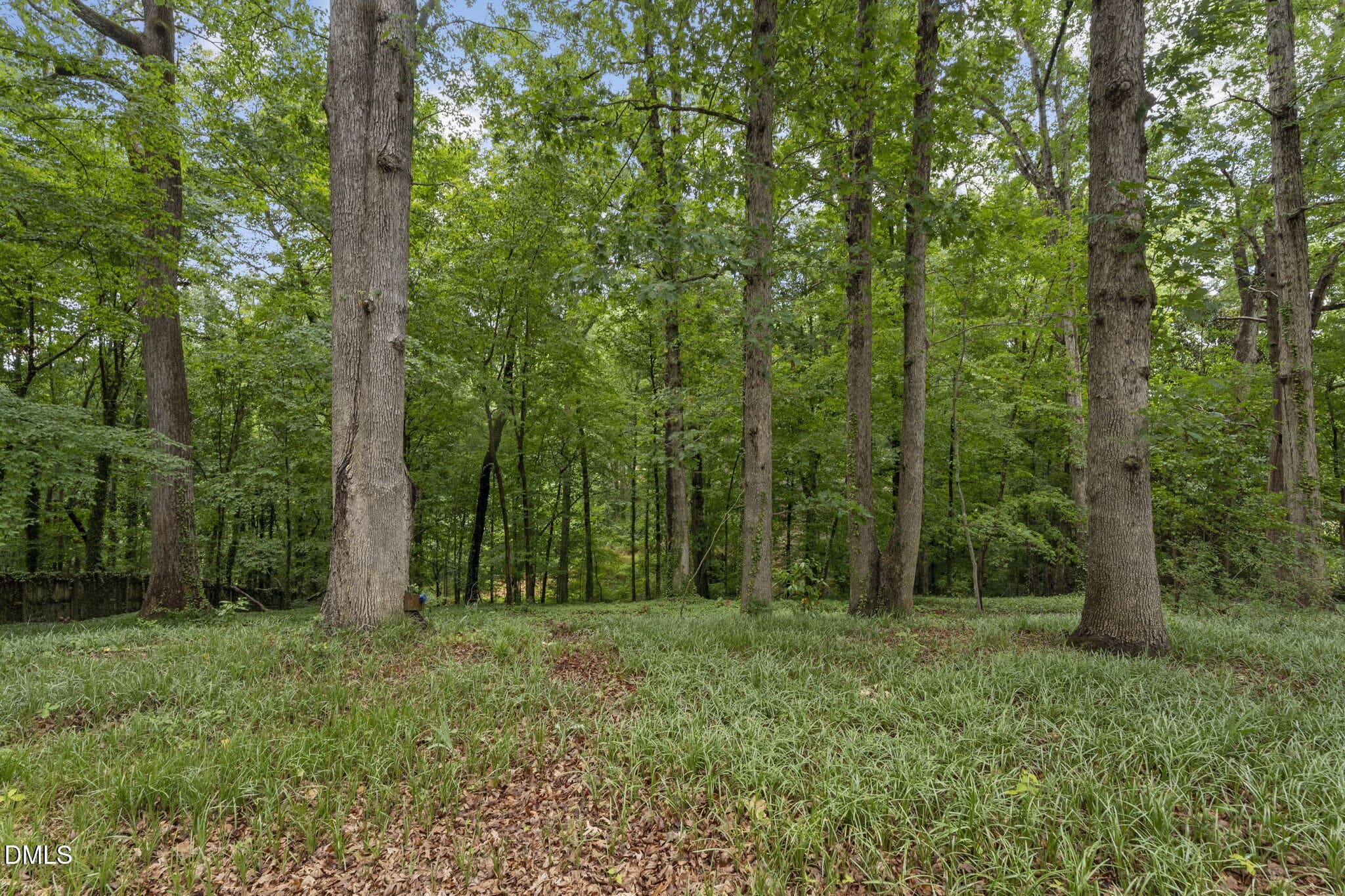 37-web-or-mls-DSC09830 - 4419 Laurel Hills Road, Raleigh, NC 27612, Raleigh