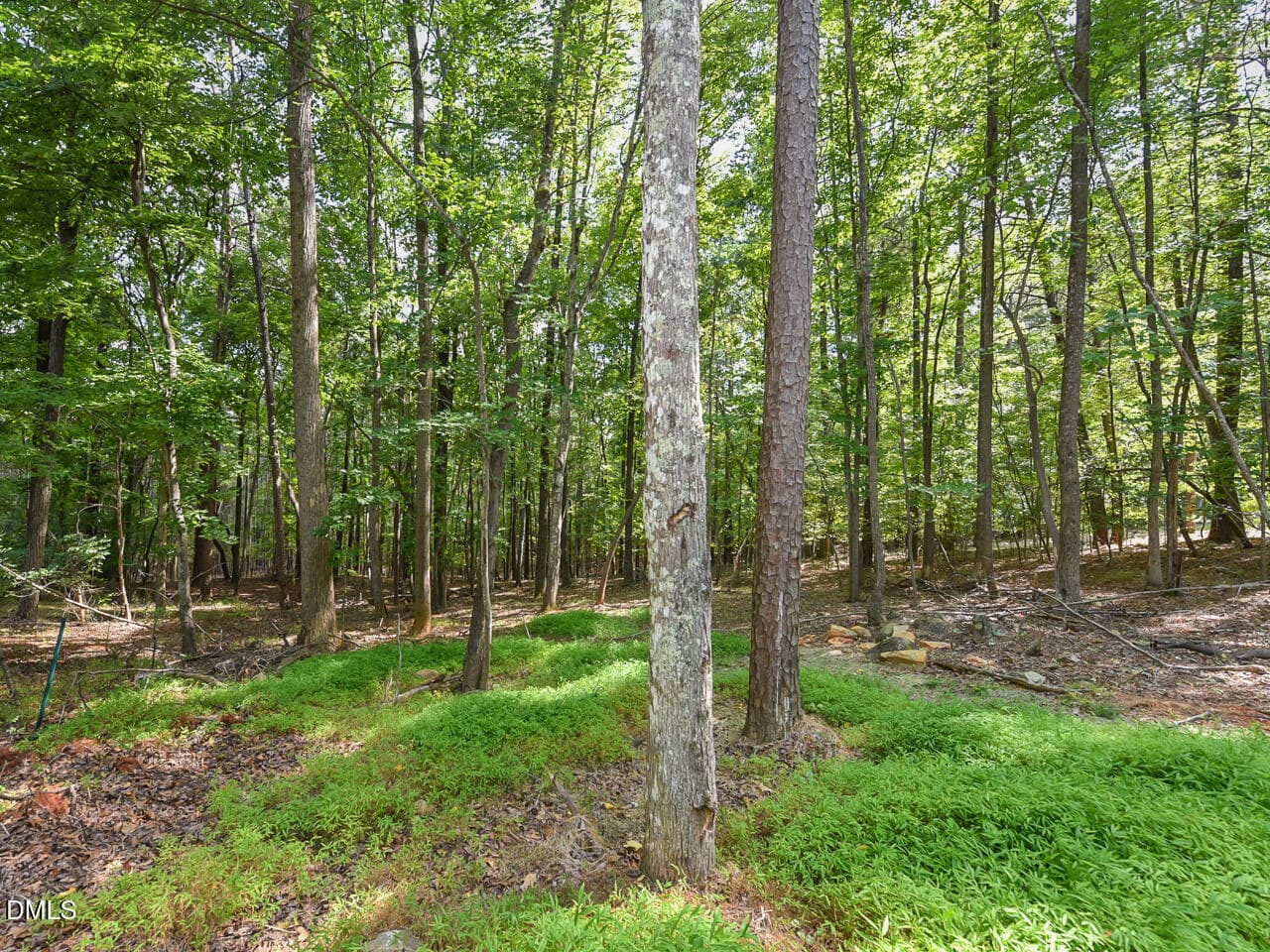 Exterior - yard - ok - 6782 Calais Drive, Durham, NC 27712, Durham