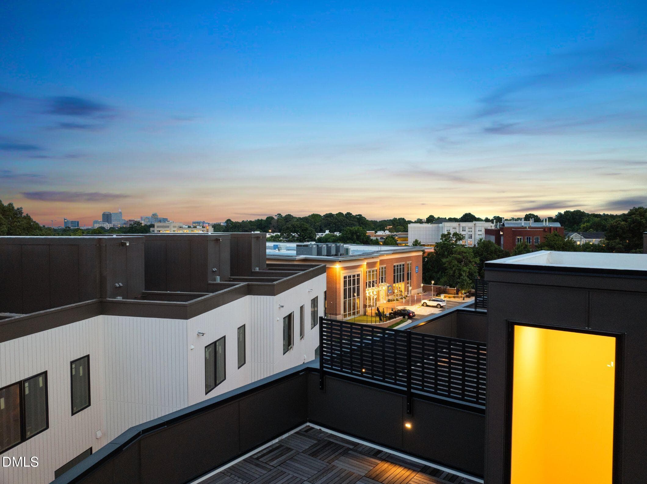 Skyline from Above Rooftop - 1308 Chamblee Hill Court, Raleigh, NC 27608, Raleigh