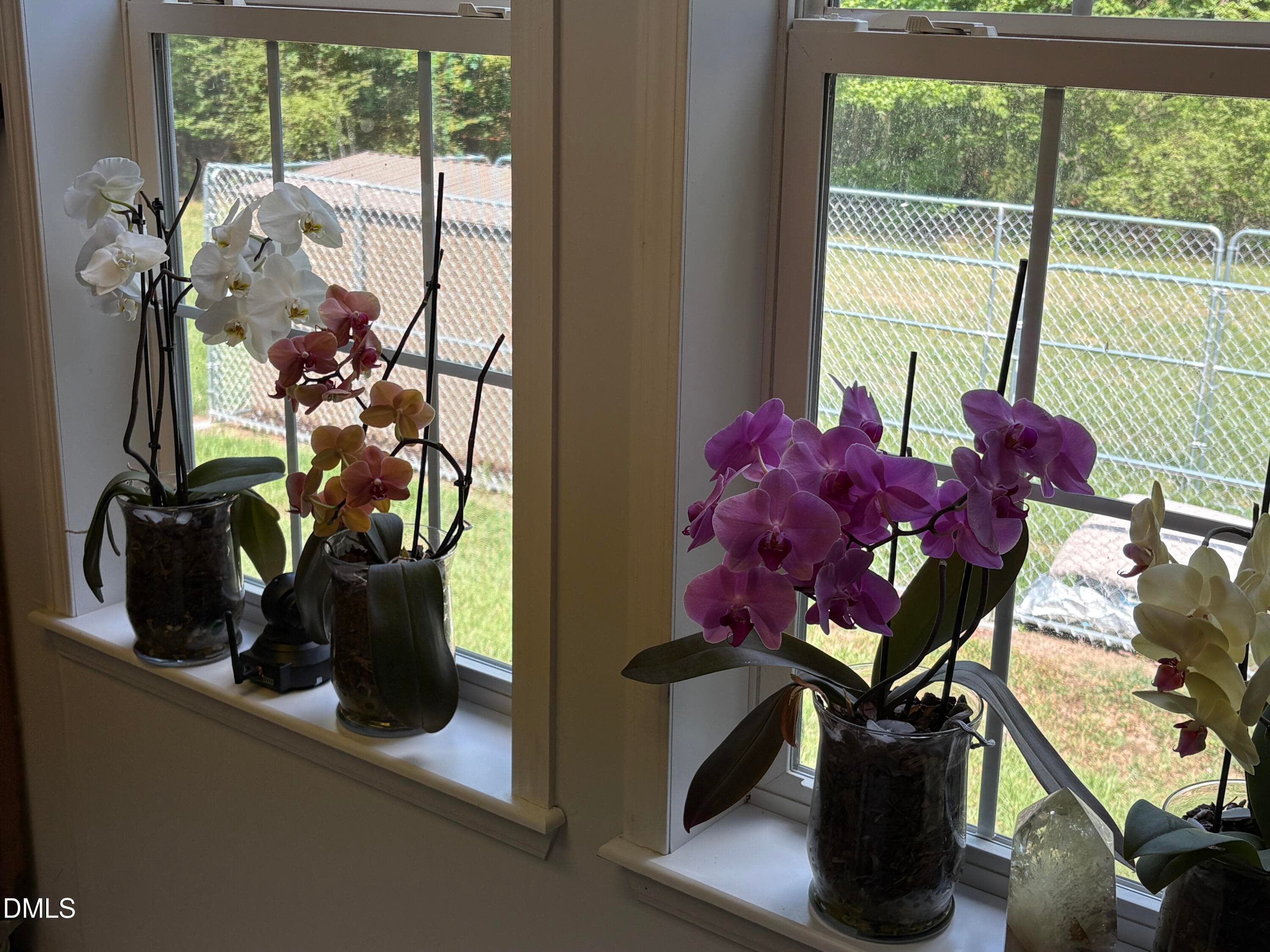 Lots of Sunlight In Kitchen - 1420 Ferrells Bridge Road, Louisburg, NC 27549, Louisburg