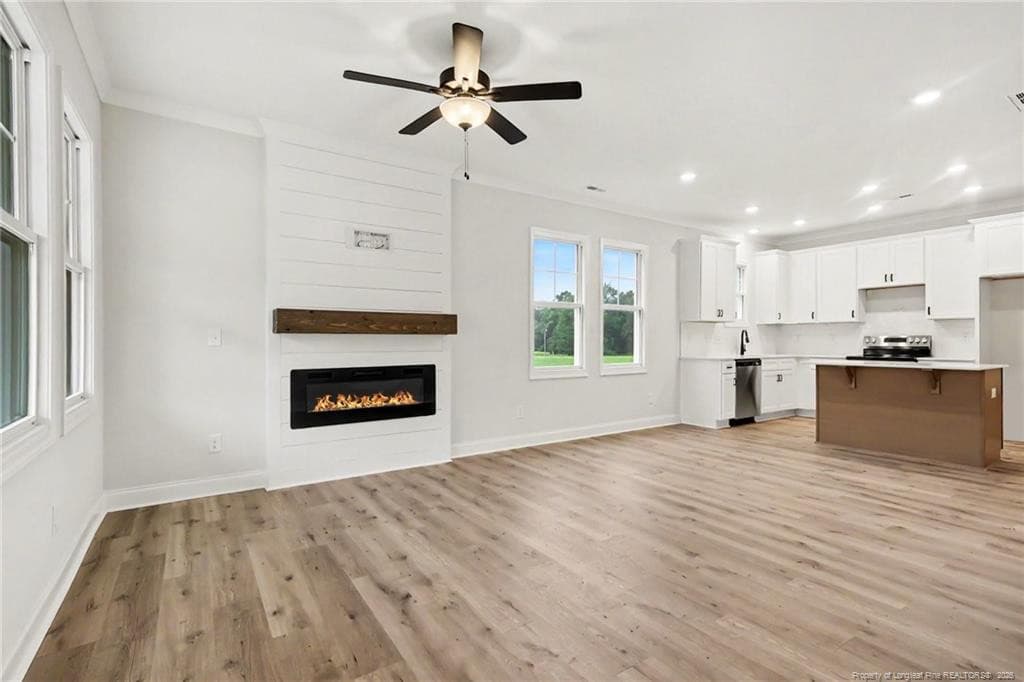 Electric fireplace - 760 Brown Road, Lillington, NC 27546