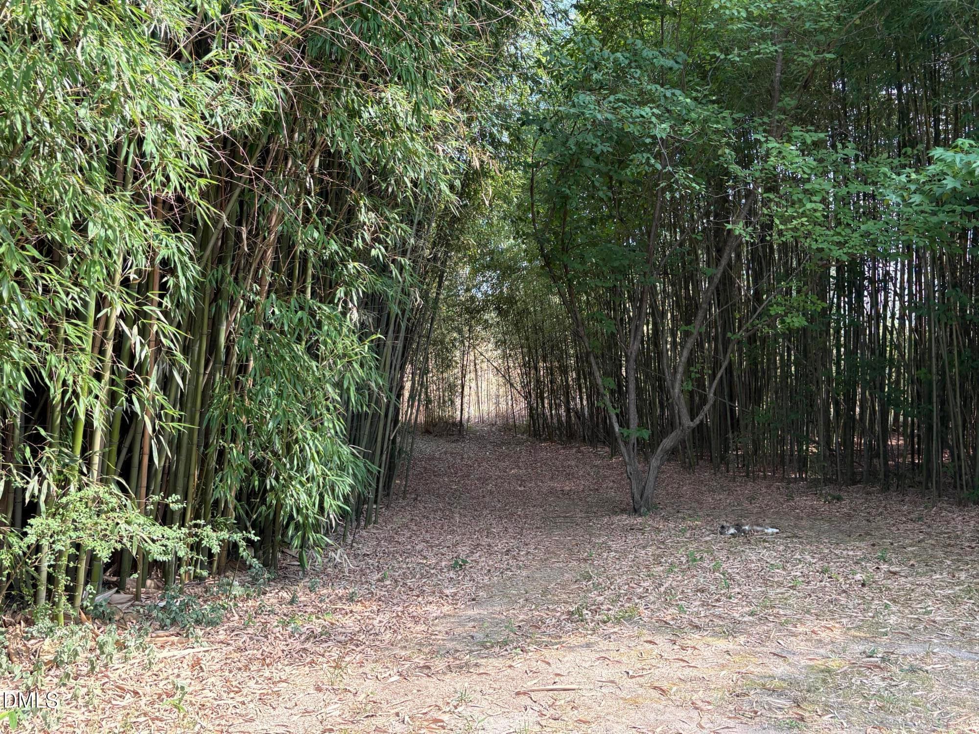Lots of Land to Roam - 1420 Ferrells Bridge Road, Louisburg, NC 27549, Louisburg