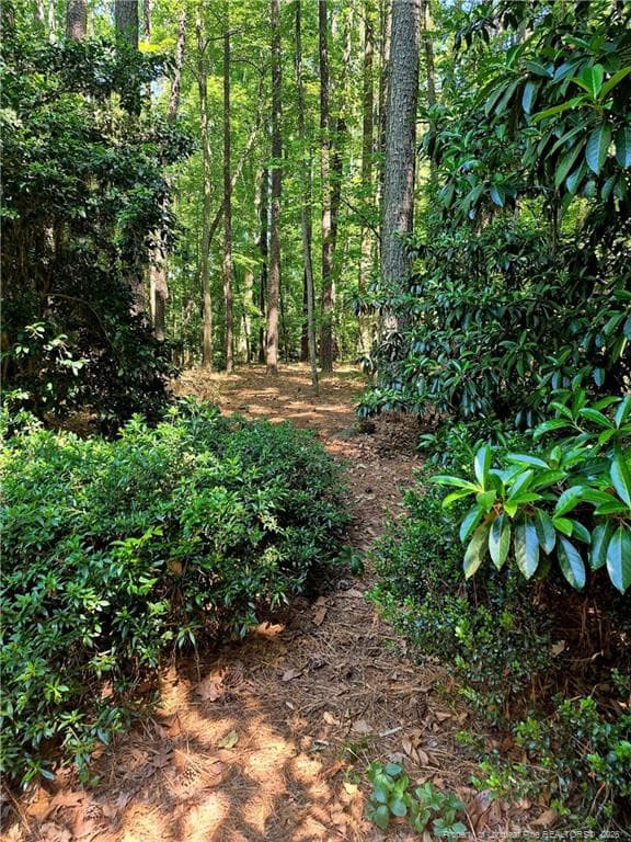 Photo 37 - 2808 Elsbeth Court, Wake Forest, NC 27587