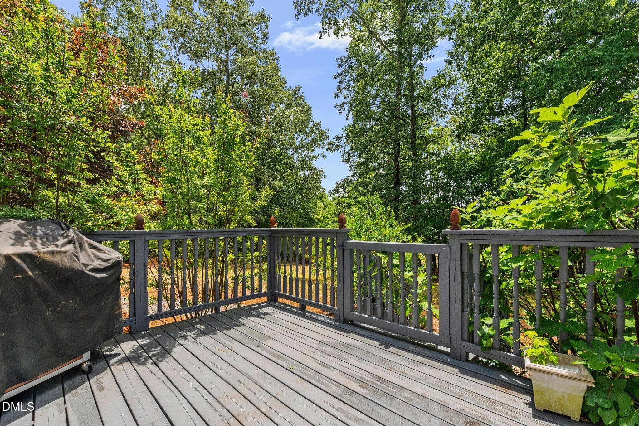 25_DSC08371 - 2901 Lauren Oaks Drive, Raleigh, NC 27616, Raleigh