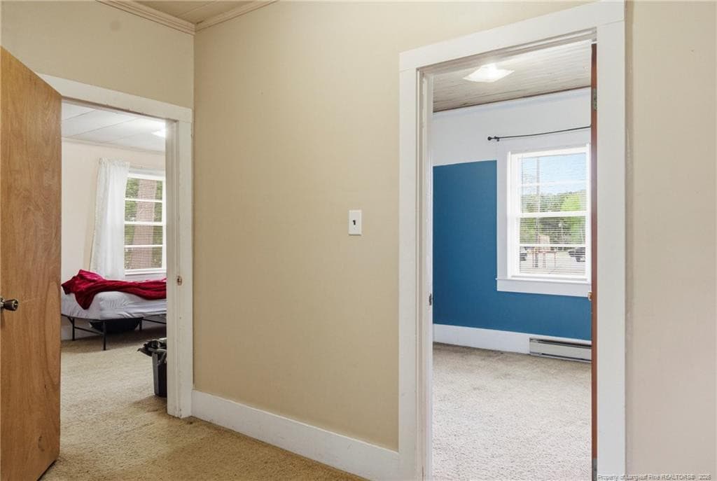 Photo 25 - 113 N Third Street, Dublin, NC 28332