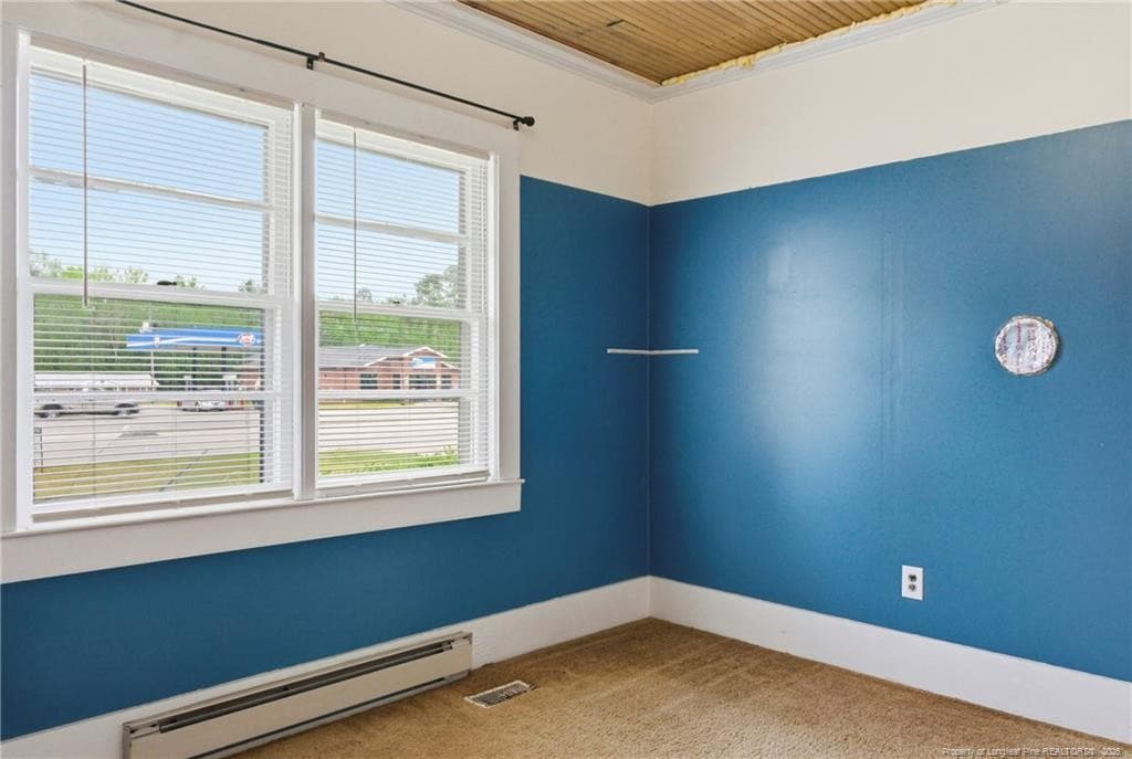 Photo 26 - 113 N Third Street, Dublin, NC 28332