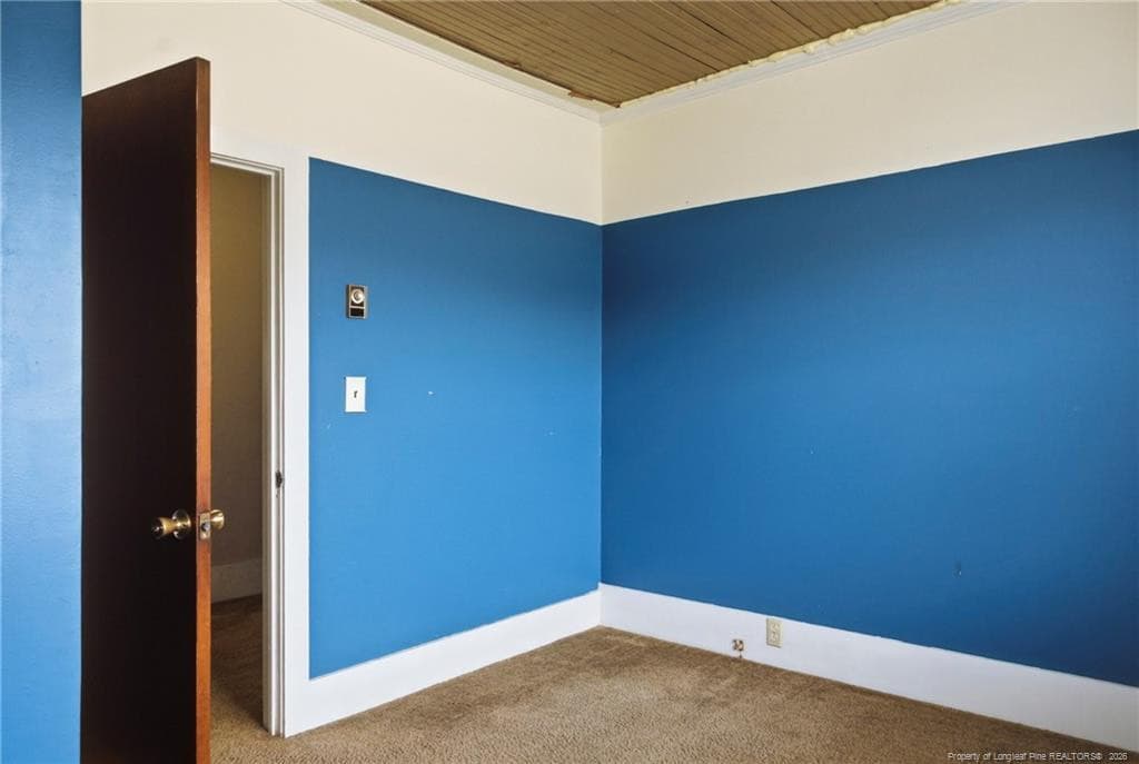 Photo 27 - 113 N Third Street, Dublin, NC 28332