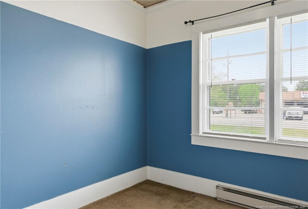 Photo 28 - 113 N Third Street, Dublin, NC 28332