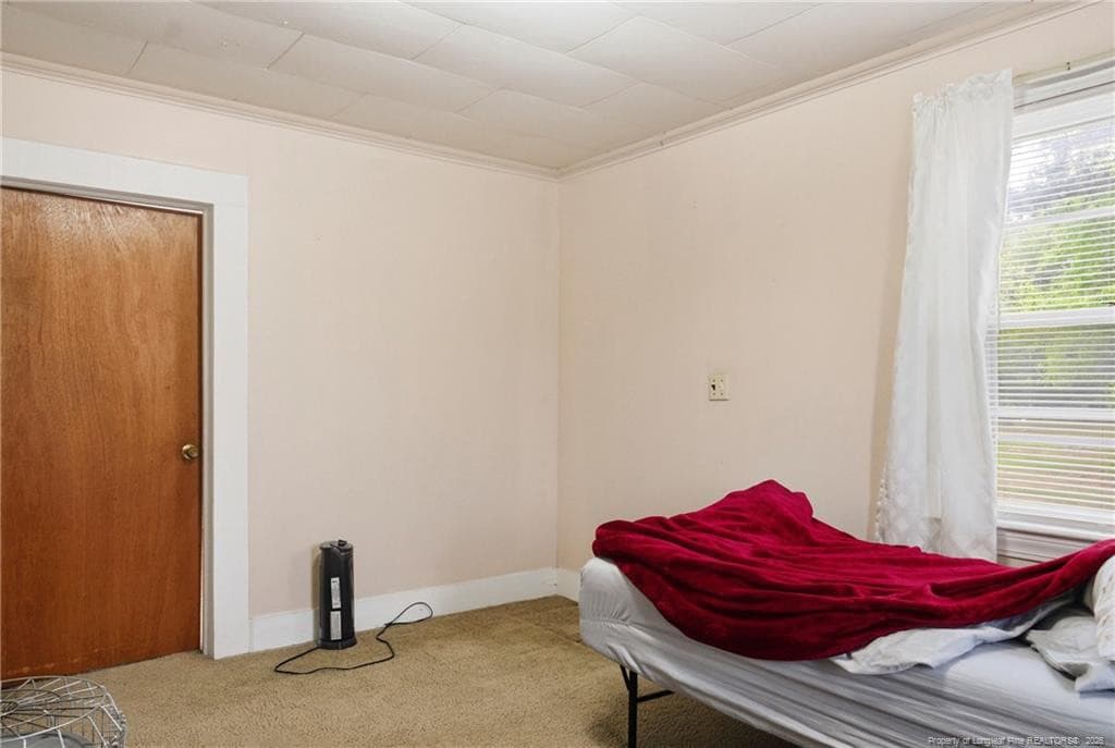 Photo 35 - 113 N Third Street, Dublin, NC 28332