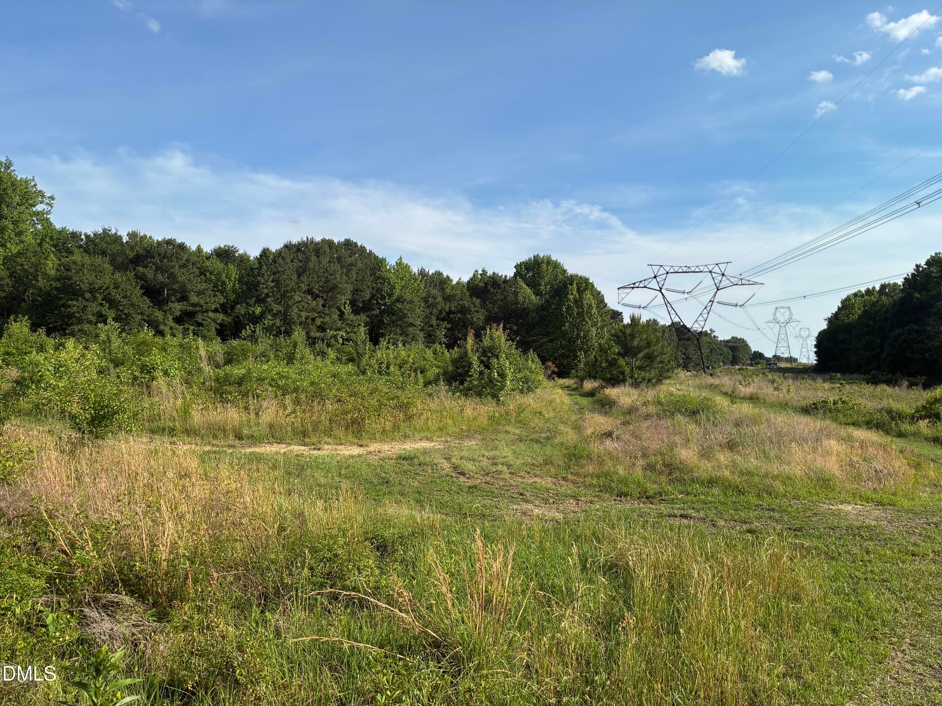 IMG_5354 - 0 Cleveland Road, Garner, NC 27529