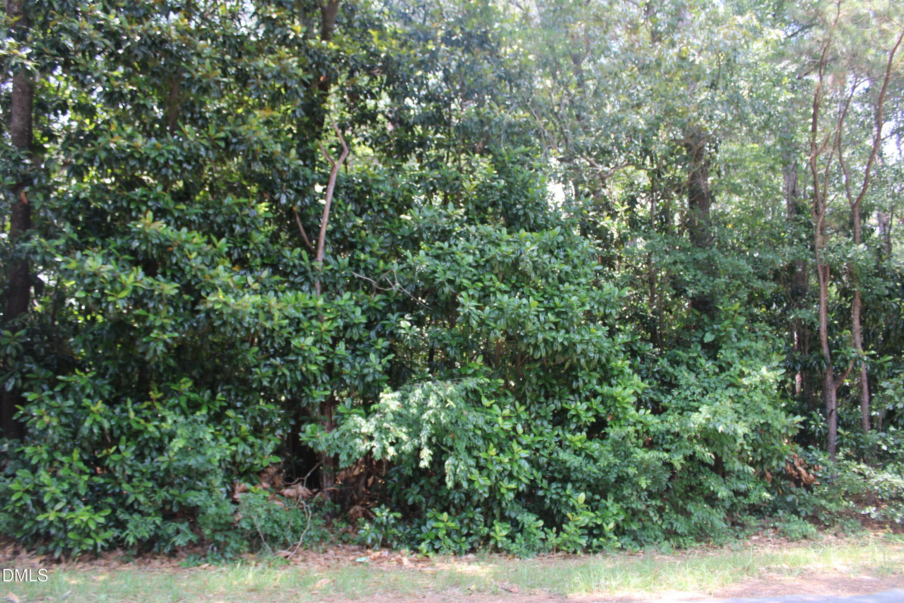 IMG_0741 - 20 Grant Drive, Goldsboro, NC 27534, Goldsboro