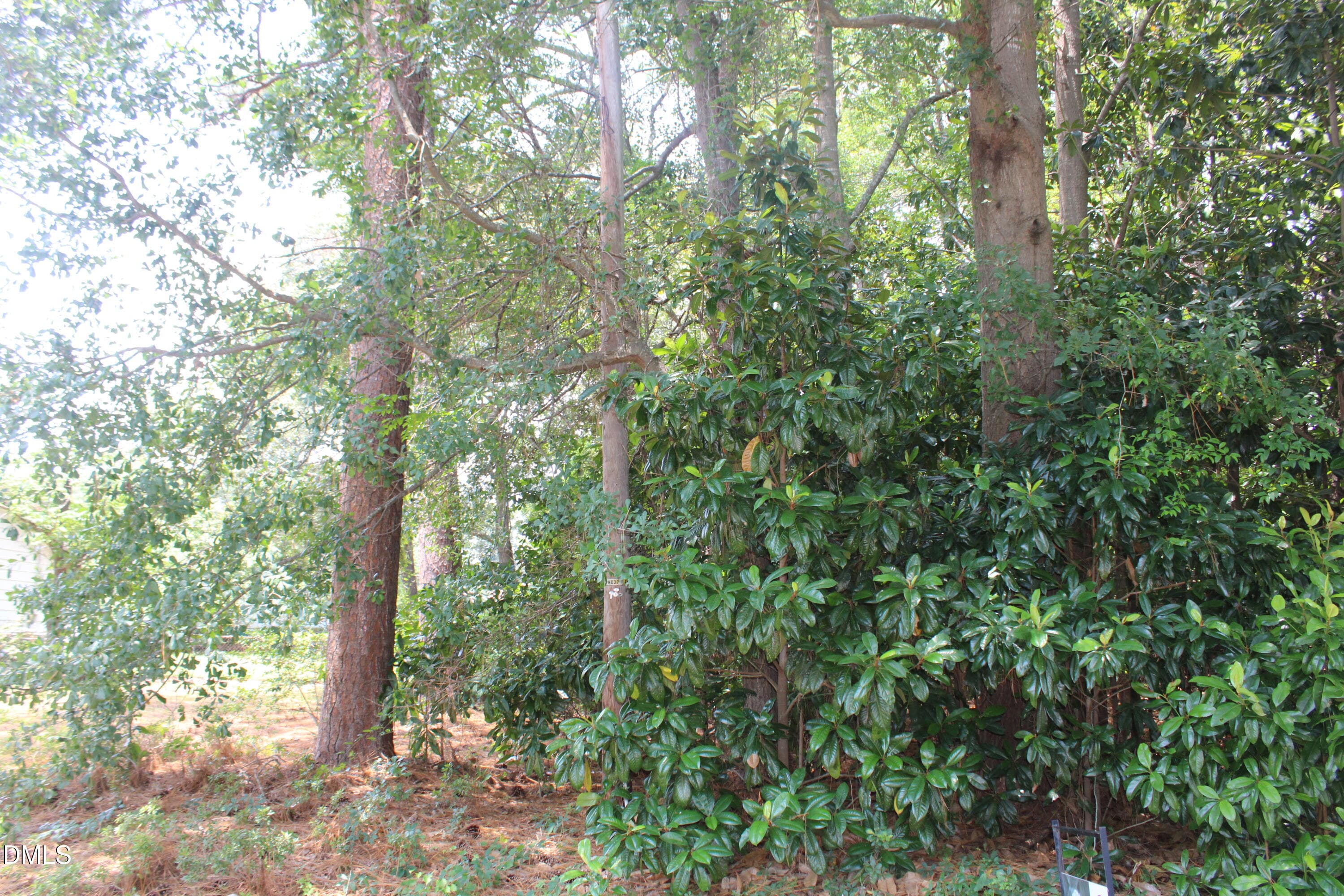 IMG_0742 - 20 Grant Drive, Goldsboro, NC 27534, Goldsboro