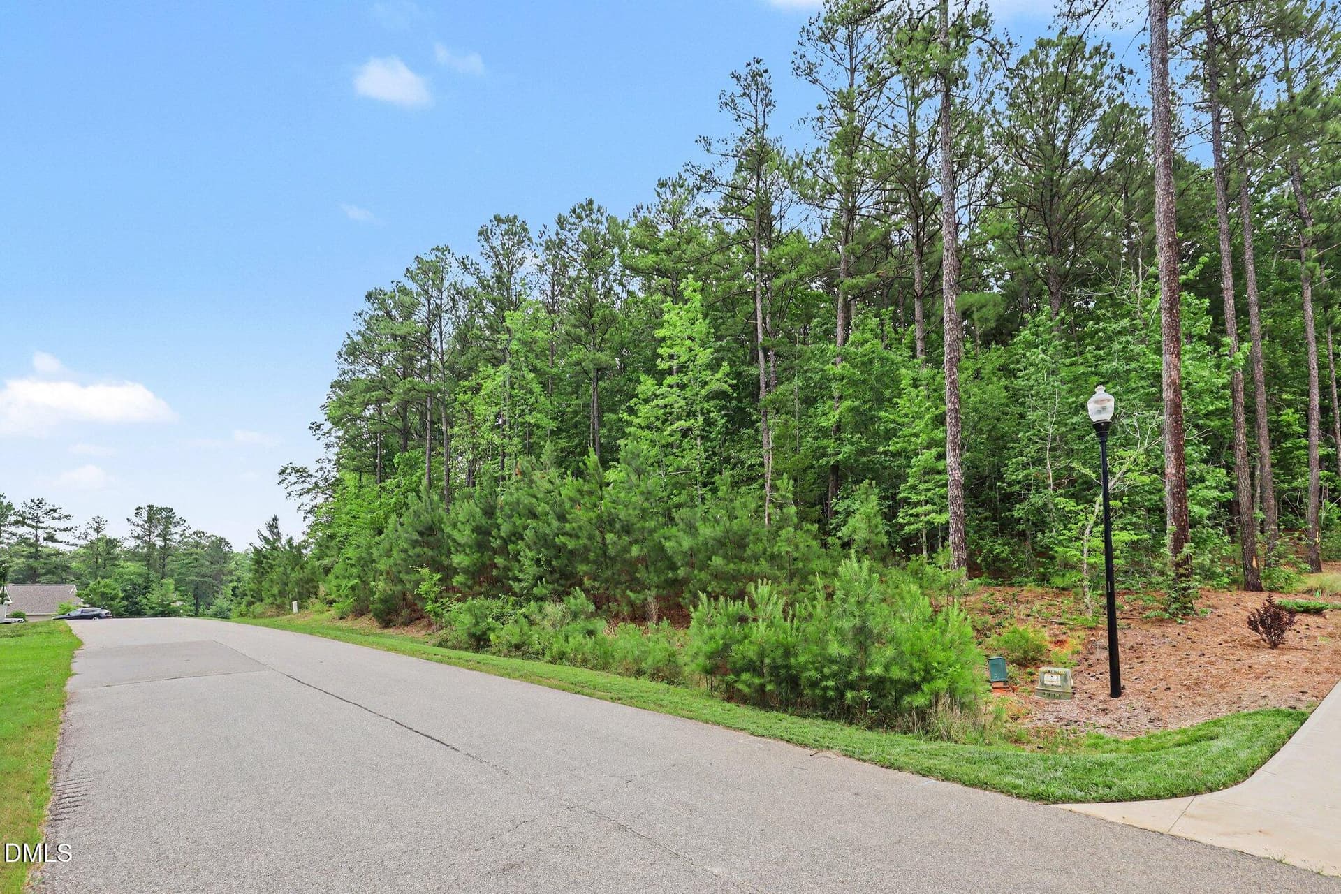 017_file_3974 - 9004 Patmos Way, Wake Forest, NC 27587
