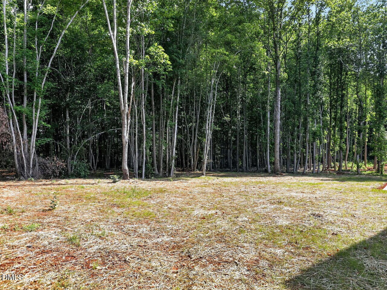 043-1280x960-backyard - 3205 Old Us Highway 64, Spring Hope, NC 27882