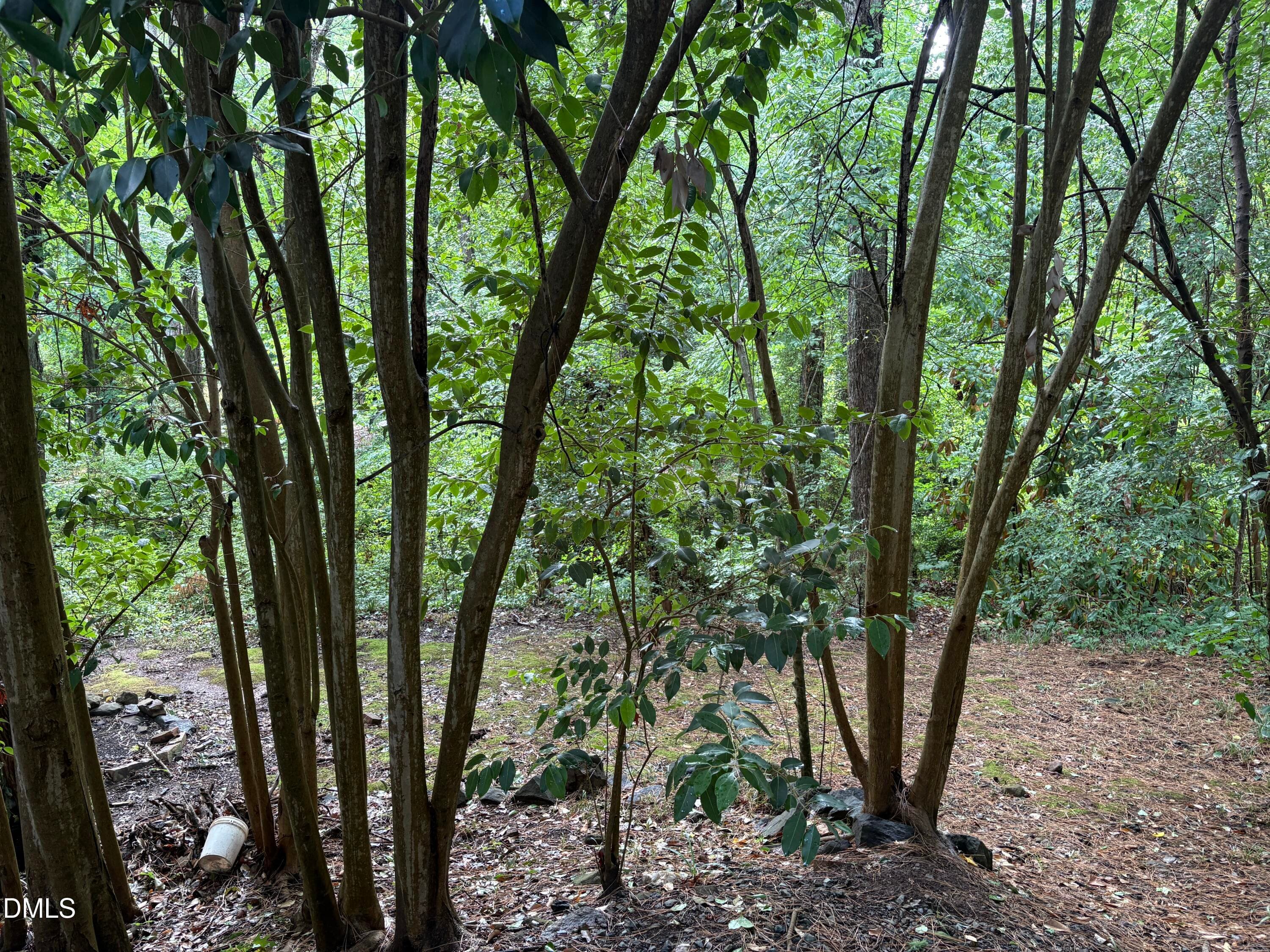 Back Yard - 1709 Shawnee Street, Durham, NC 27701, Durham