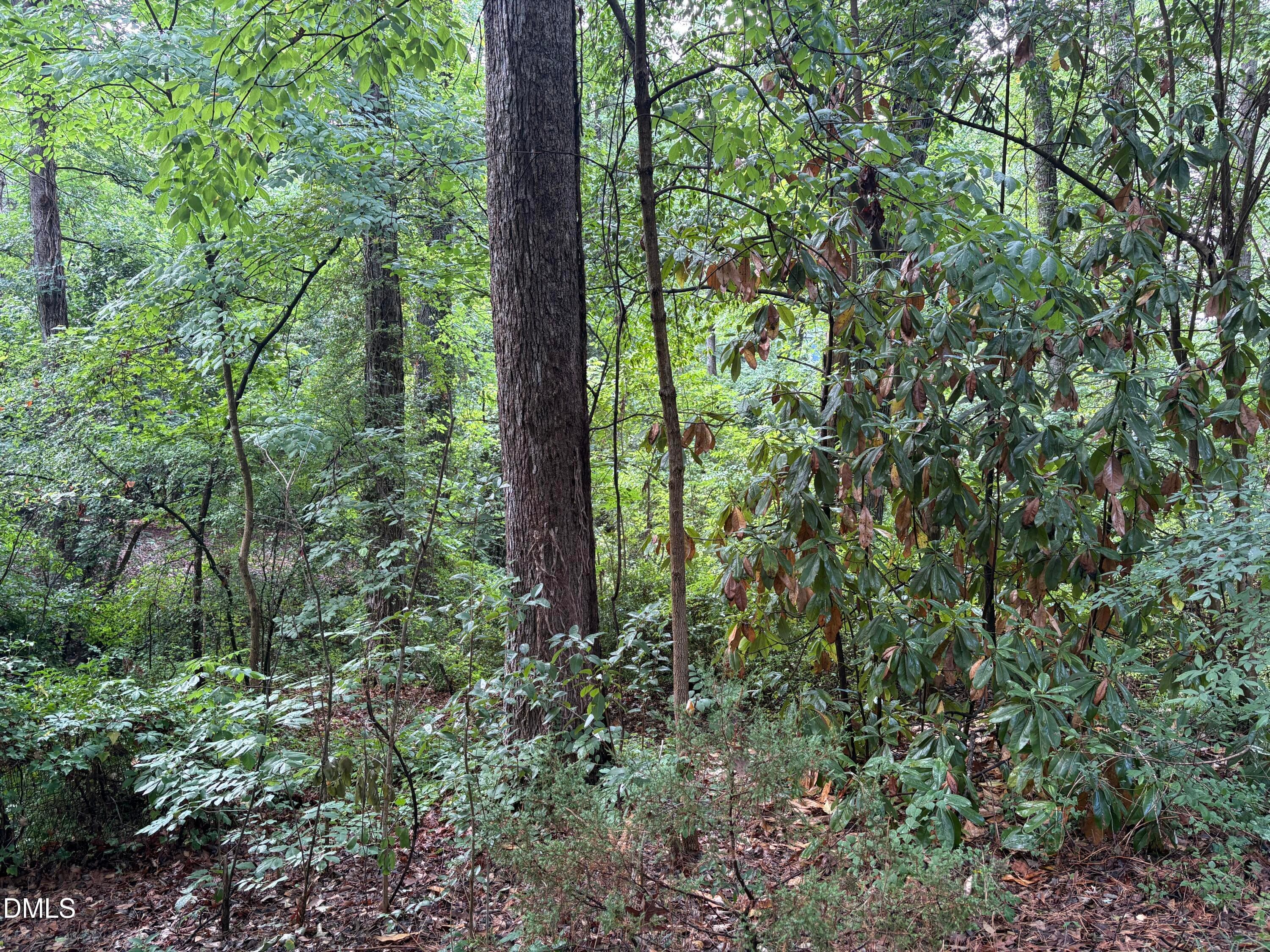 1700 Hollywood Lot - 1709 Shawnee Street, Durham, NC 27701, Durham