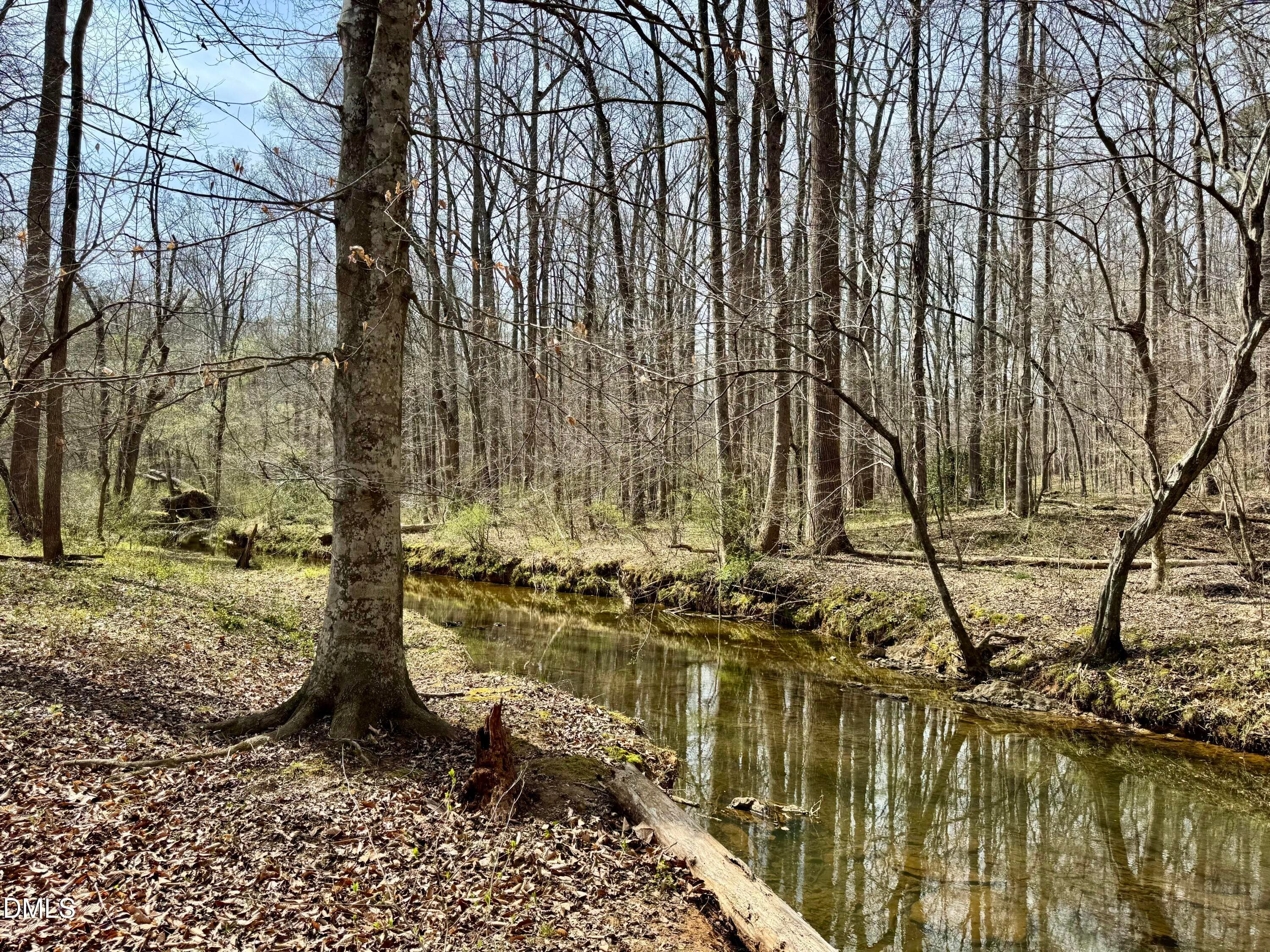Morgan Creek below duplex - 1025 Dairyland Road, Chapel Hill, NC 27516, Chapel Hill