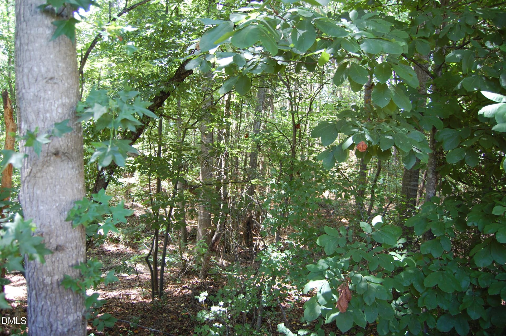 DSC_0747 - 502 Morganite Court, Knightdale, NC 27545