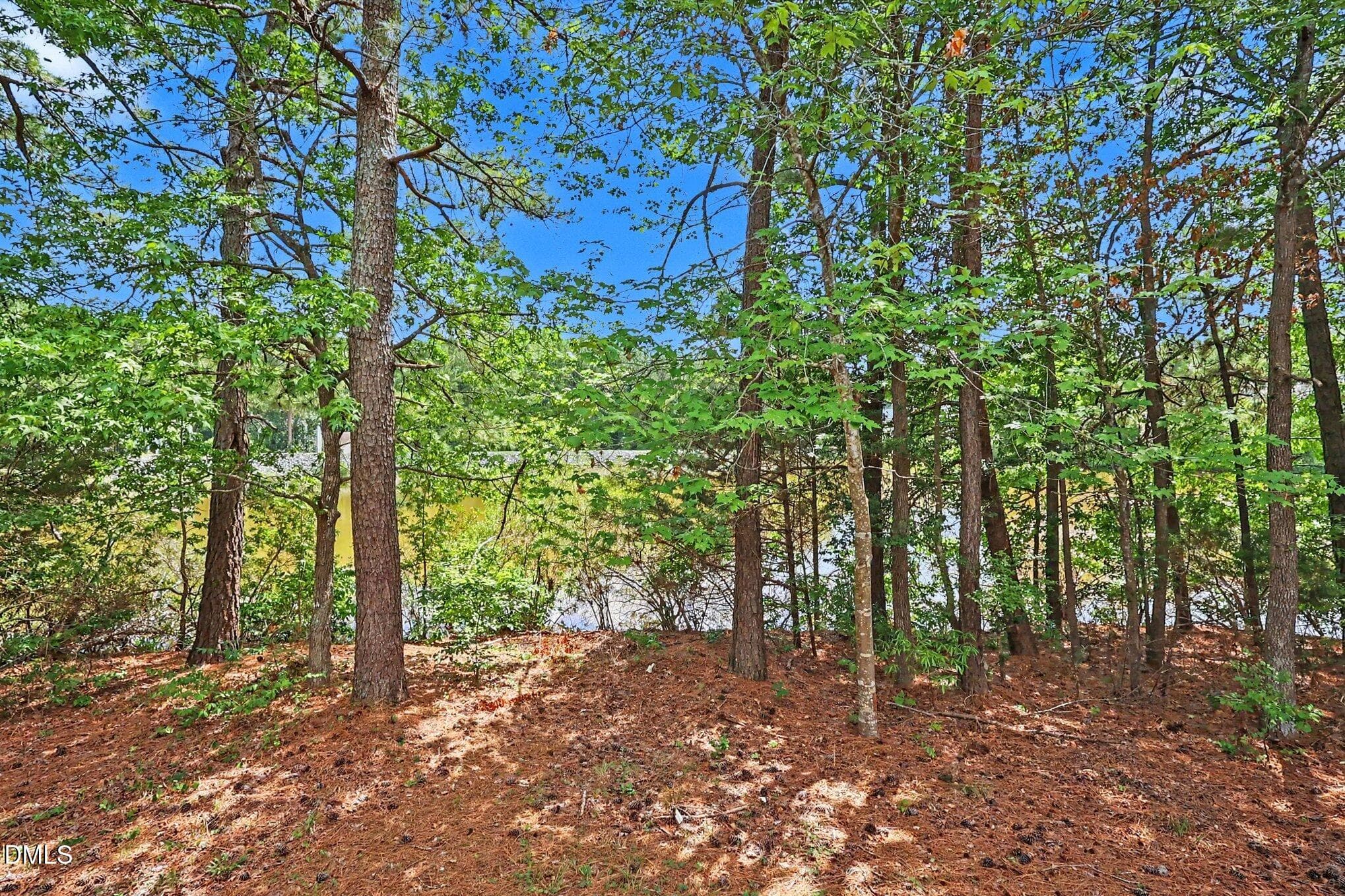 26_View-107-Bay-Colony-27517 - 107 Bay Colony Court, Chapel Hill, NC 27517, Chapel Hill
