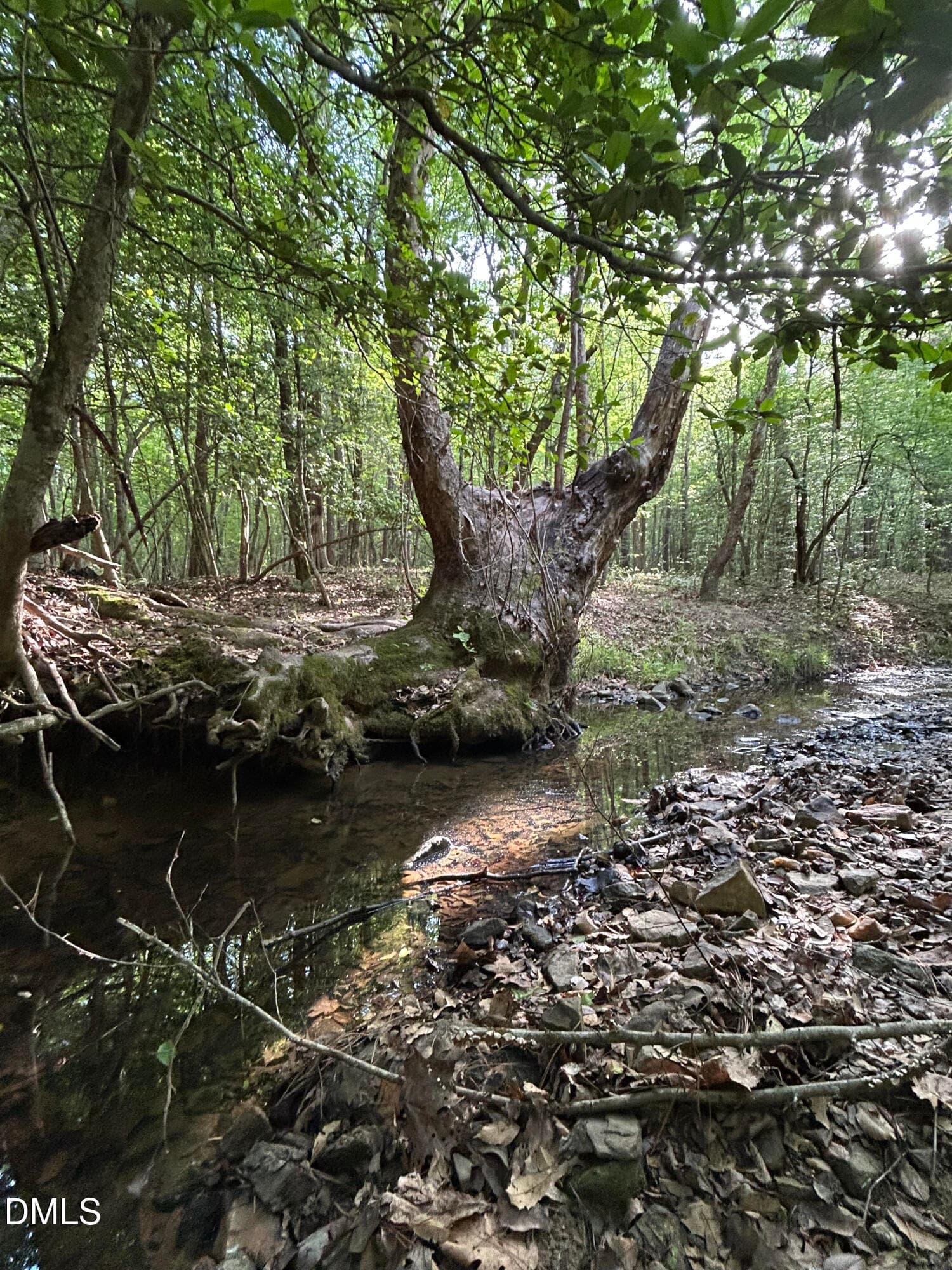 0 Beaver Dam Road, Creedmoor, NC 27522