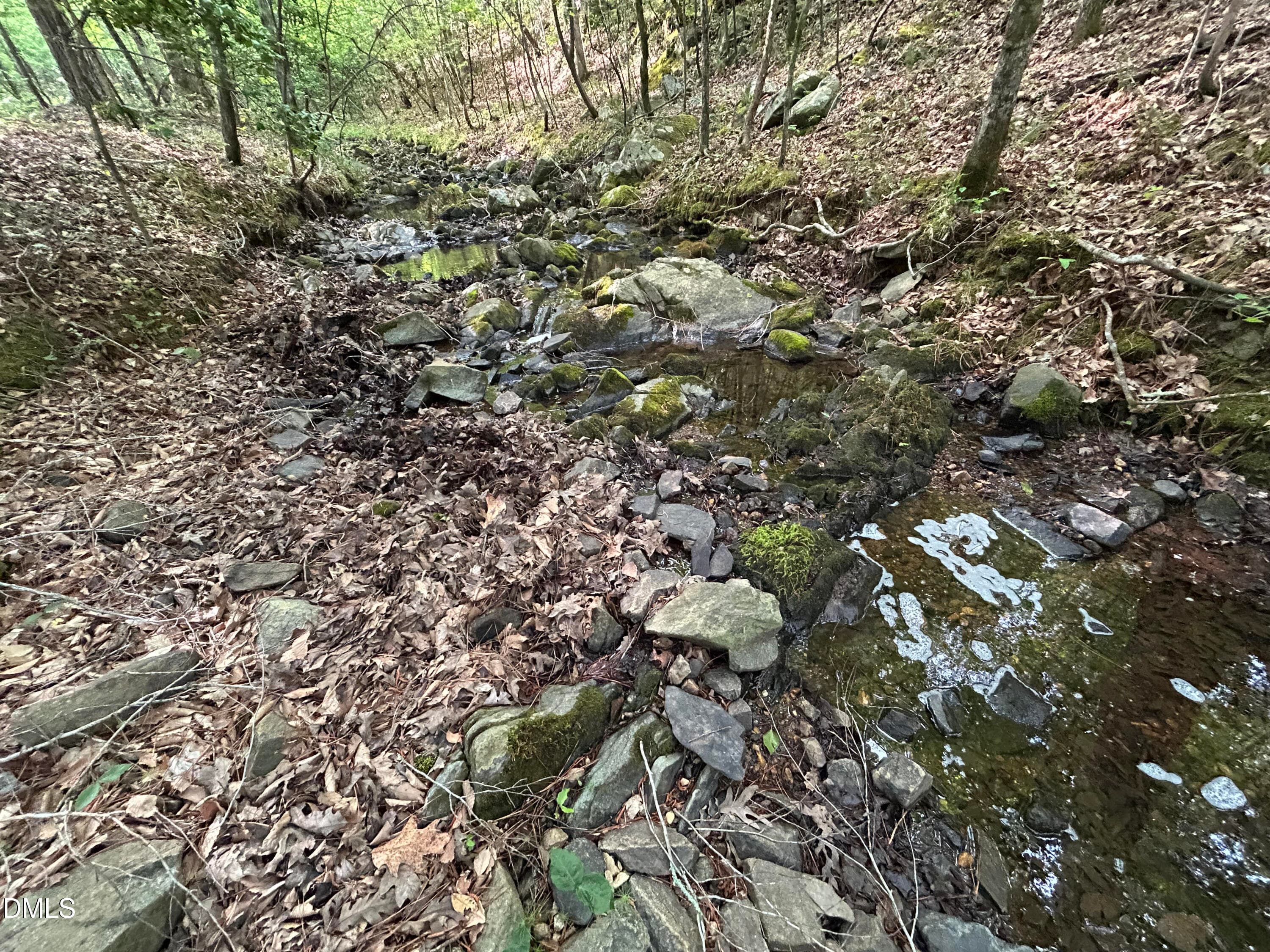 IMG_7664 - 0 Beaver Dam Road, Creedmoor, NC 27522