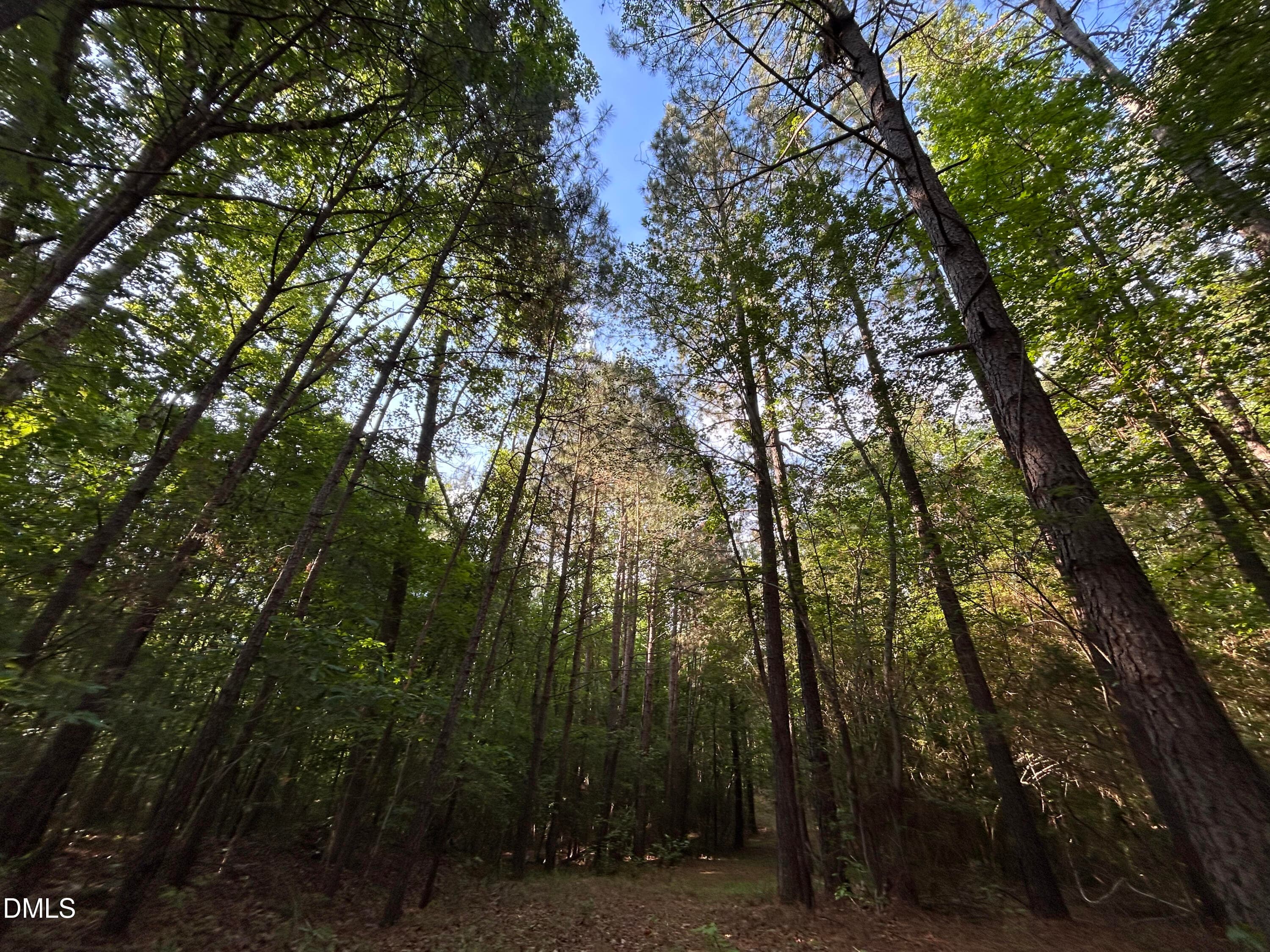 IMG_7635 - 0 Beaver Dam Road, Creedmoor, NC 27522