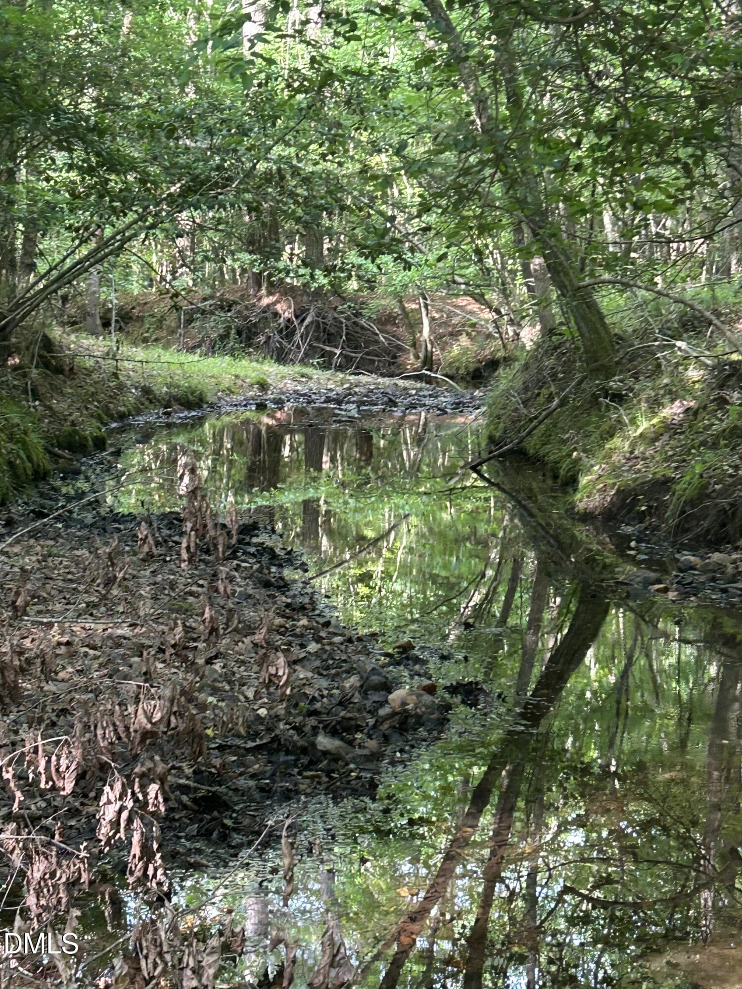 IMG_7648 - 0 Beaver Dam Road, Creedmoor, NC 27522
