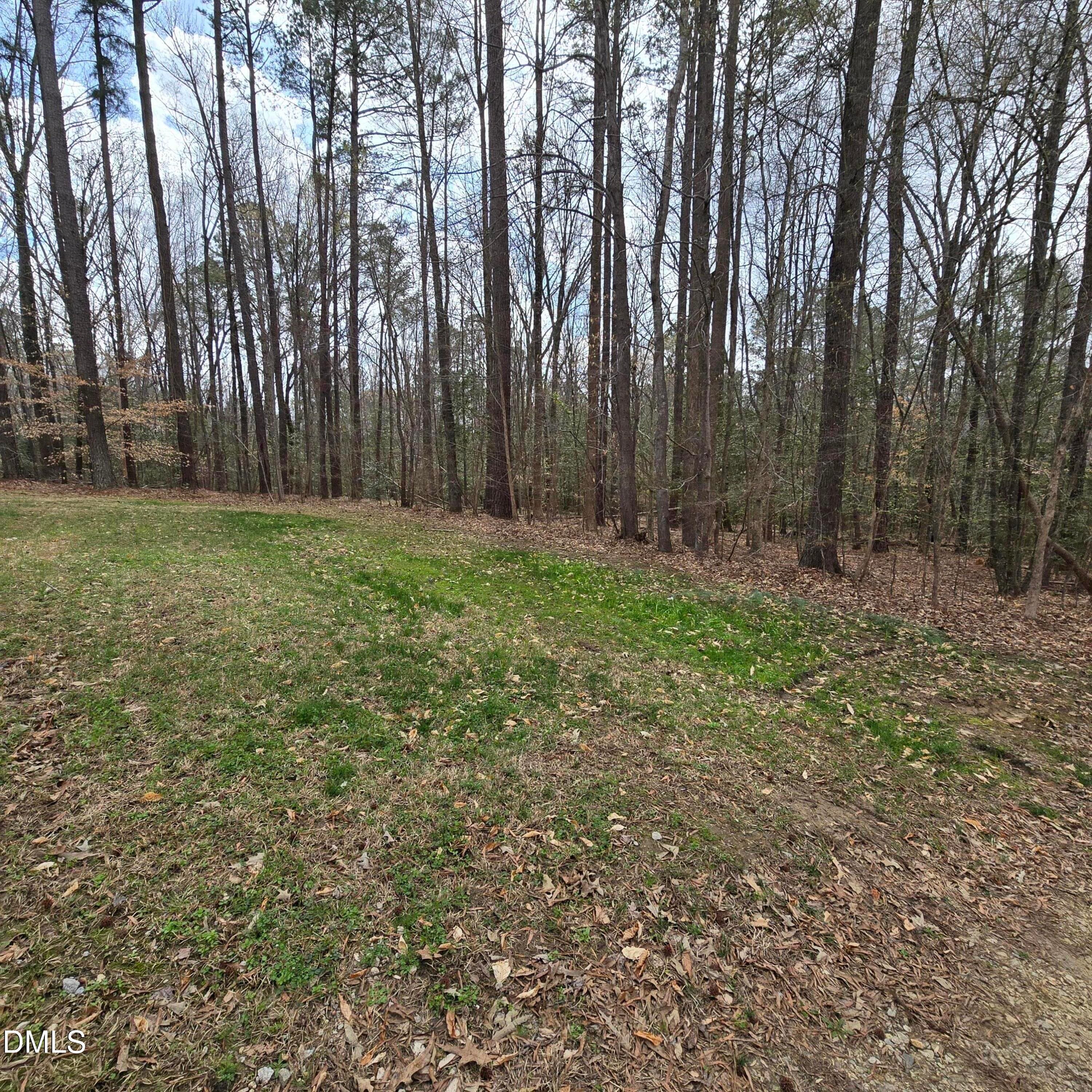 Wooded side lot - 121 Santee Drive, Louisburg, NC 27549, Louisburg