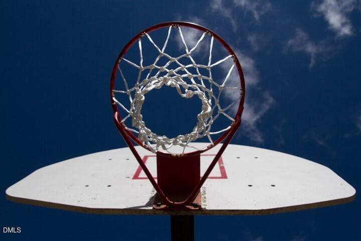 Basketball Net - 121 Santee Drive, Louisburg, NC 27549, Louisburg
