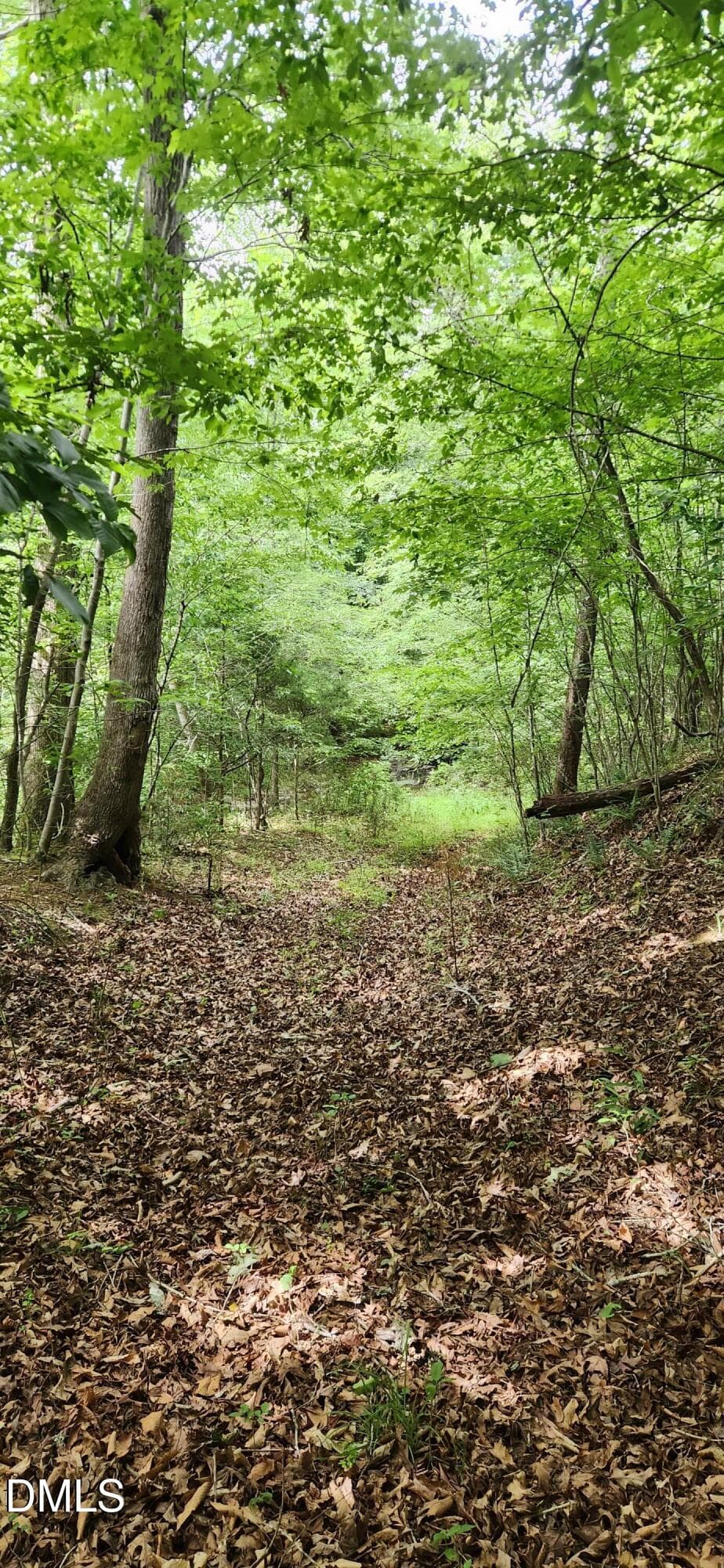 1000027326 - 0 Helena Moriah Road, Timberlake, NC 27583