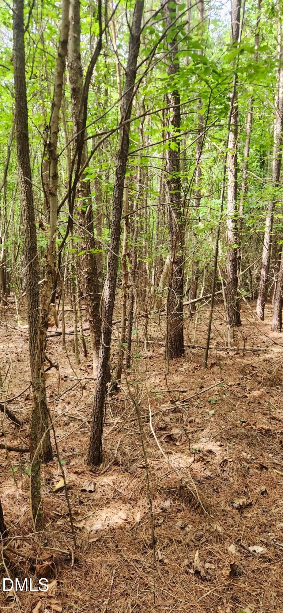 1000027331 - 0 Helena Moriah Road, Timberlake, NC 27583