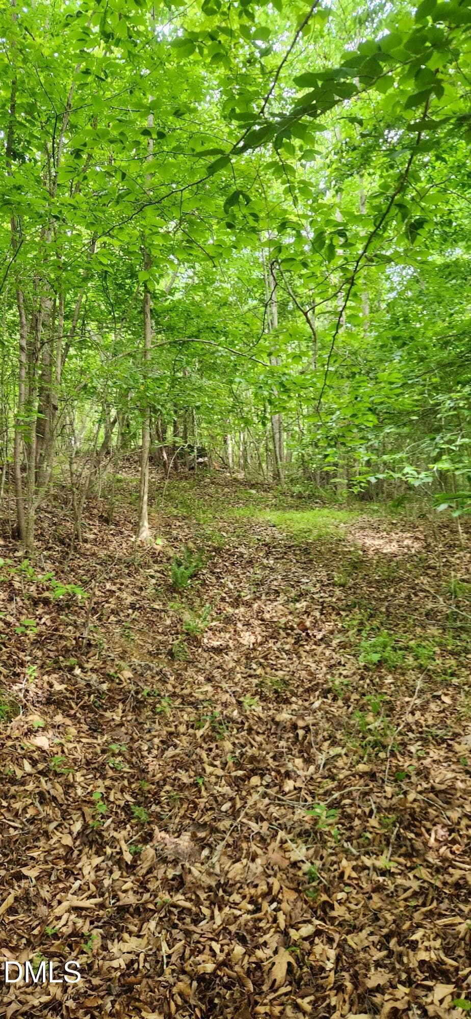 1000027327 - 0 Helena Moriah Road, Timberlake, NC 27583