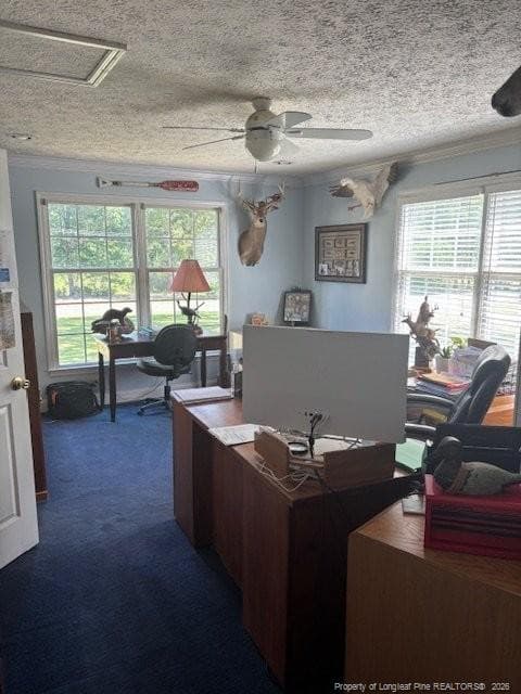 downstairs office - 3744 NC HWY 210 Highway, Harrells, NC 28444