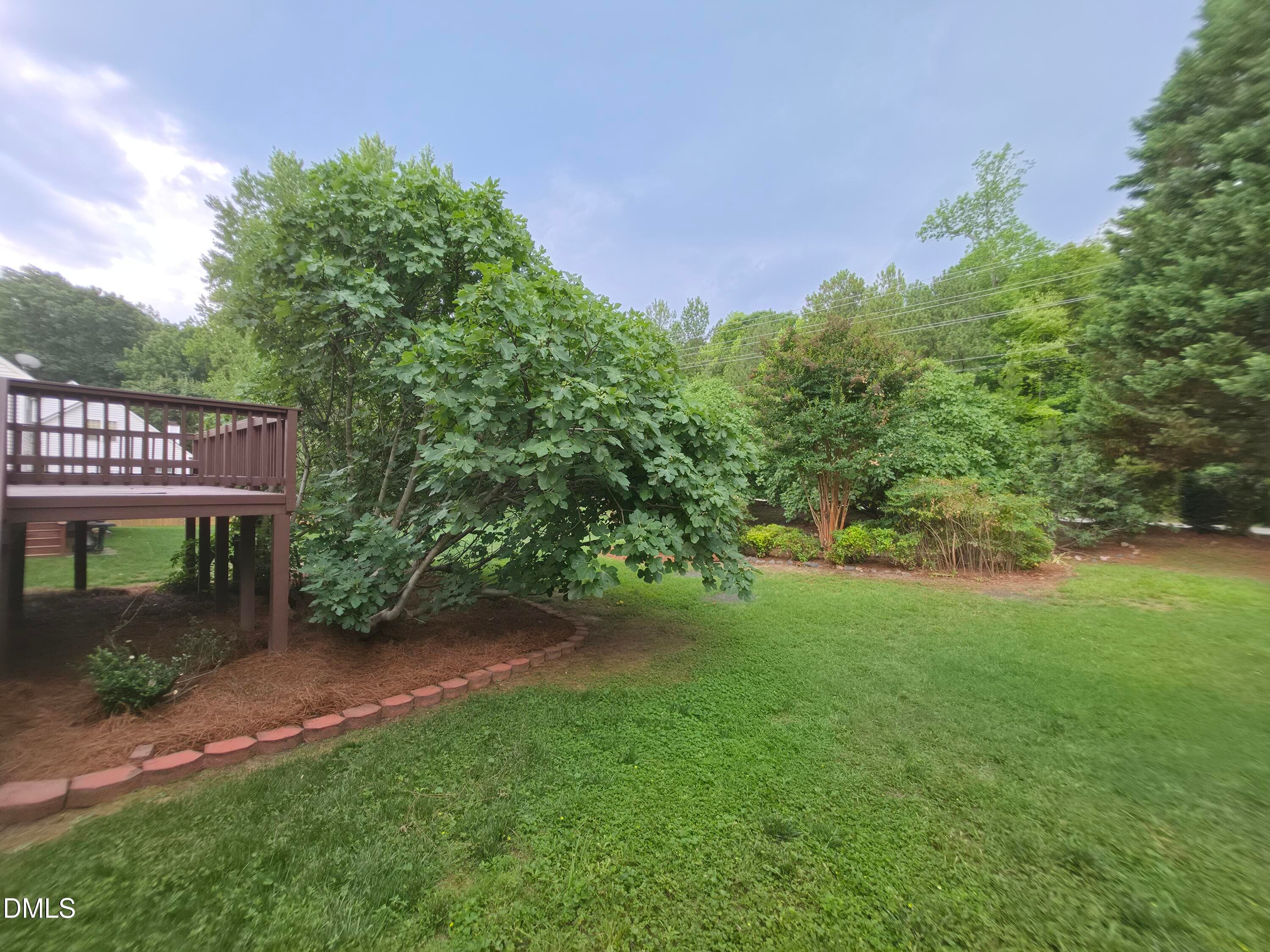 20260705_155648 - 8717 Springhouse Lane, Raleigh, NC 27617, Raleigh