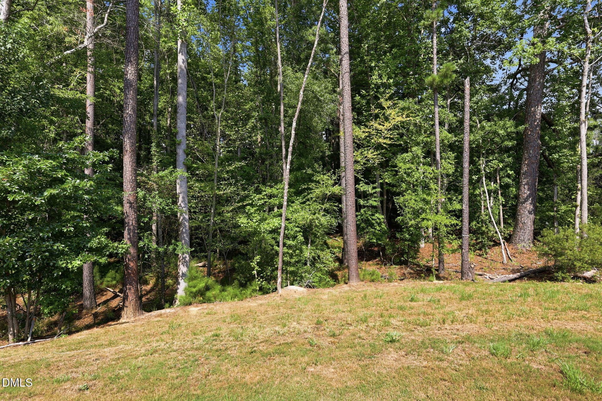 ListerPros_024 - 90 Everglade Way, Angier, NC 27501