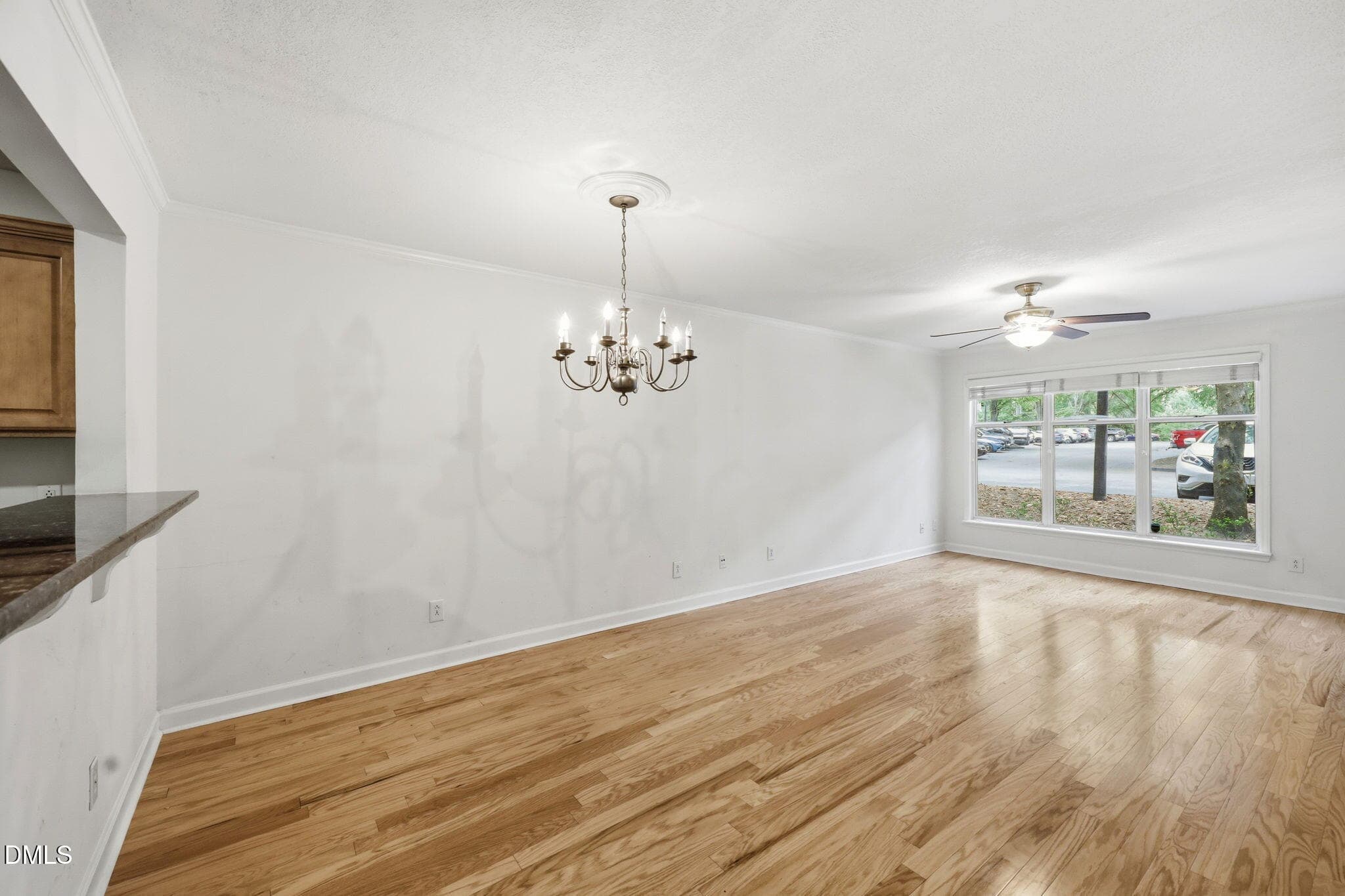 16-web-or-mls-IMG_8762 - 1021 Nicholwood Drive, Raleigh, NC 27605, Raleigh