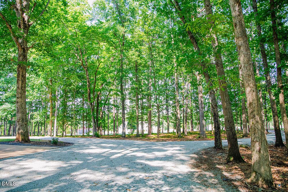 R28 copy - 194 Robert Whitfield Road, Hurdle Mills, NC 27541