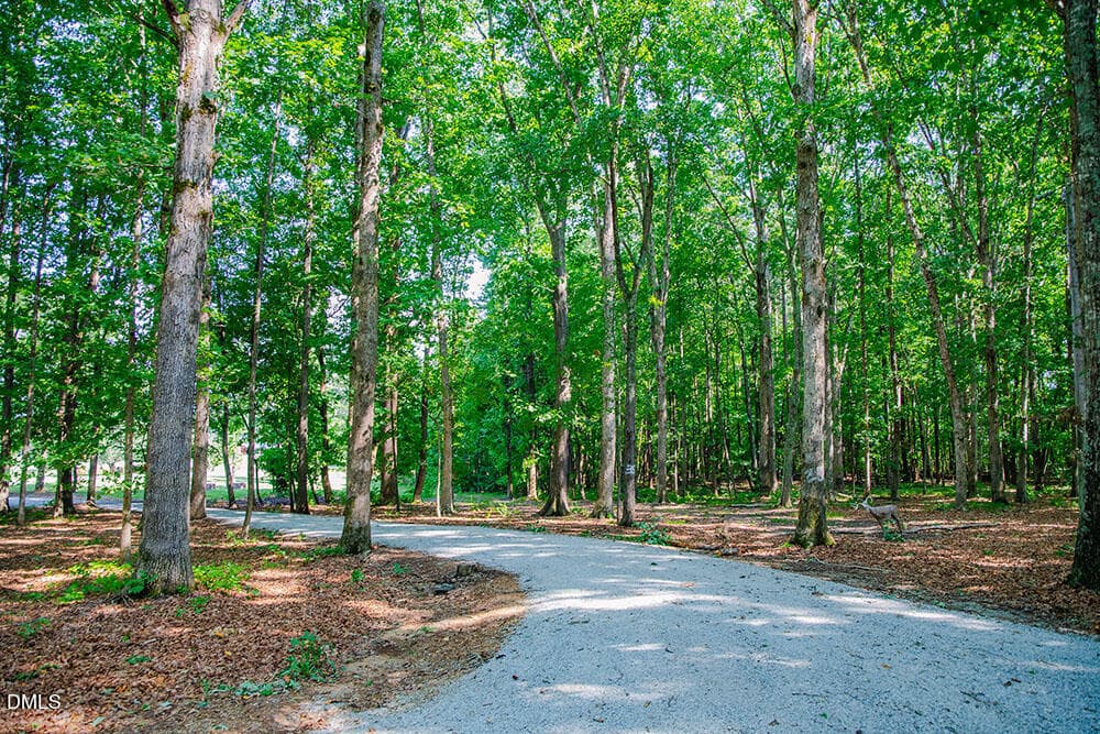R33 copy - 194 Robert Whitfield Road, Hurdle Mills, NC 27541
