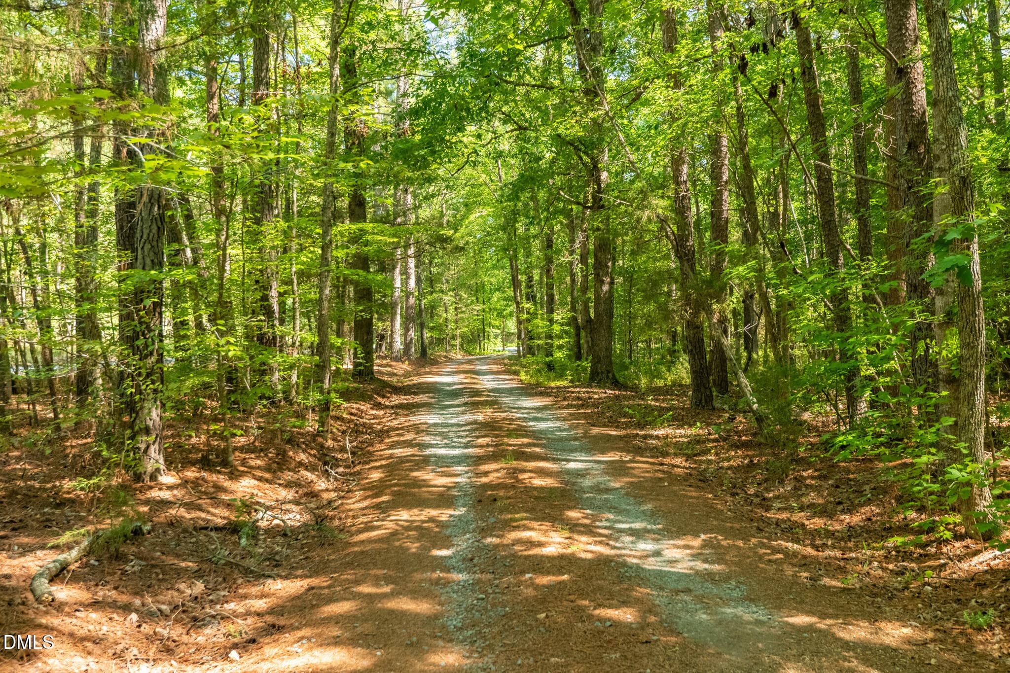 Idyllic driveway (shared with neighbor) - 9021 Collins Creek Drive, Chapel Hill, NC 27516, Chapel Hill