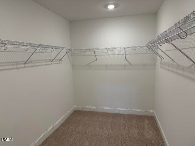 Walk In Closet - 5407 Running Fox Lane, Durham, NC 27703, Durham